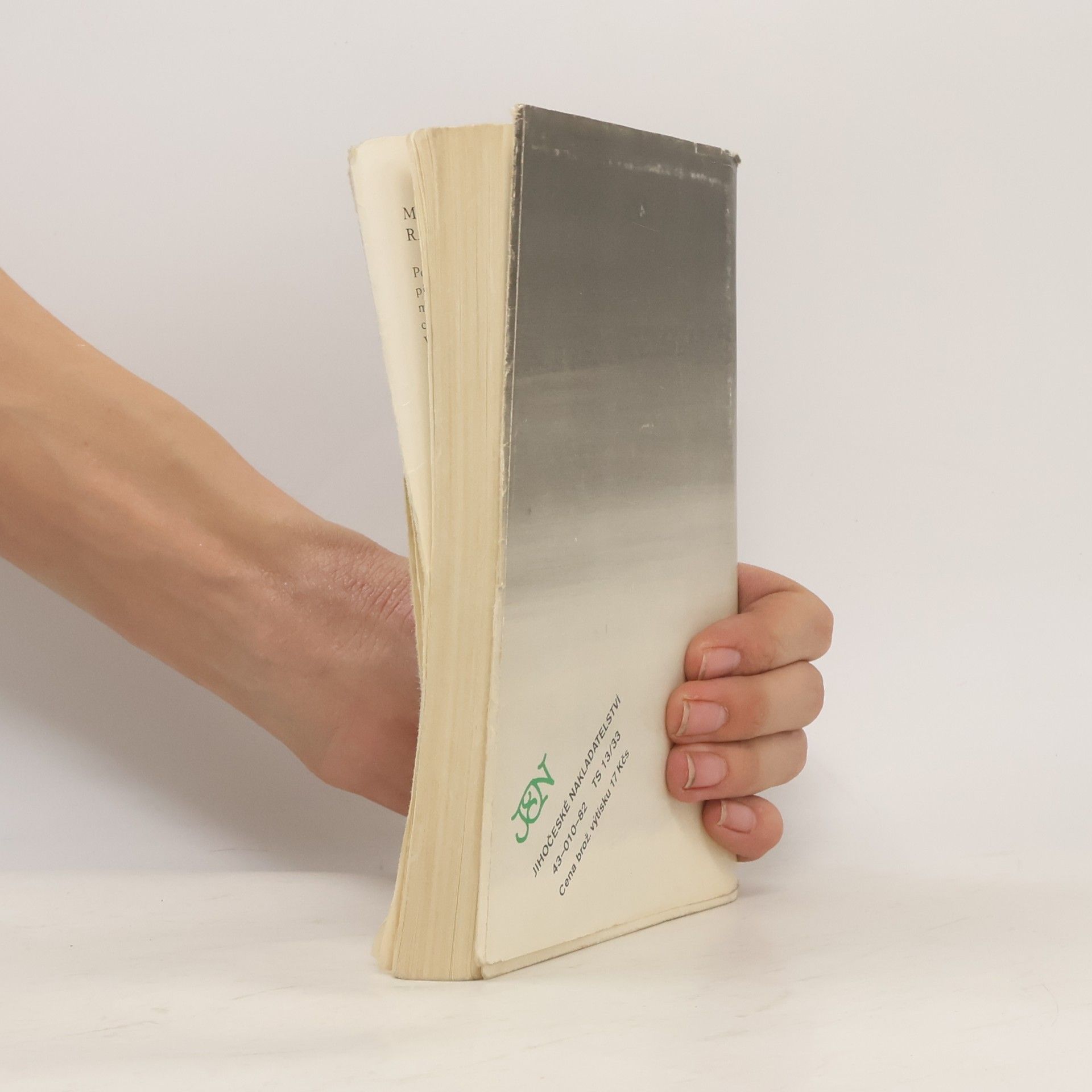 Brůhová Milena Radbuza 101