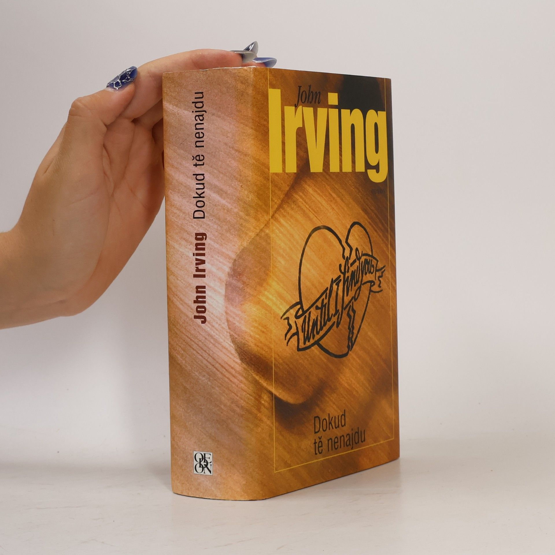 John Irving Dokud tě nenajdu