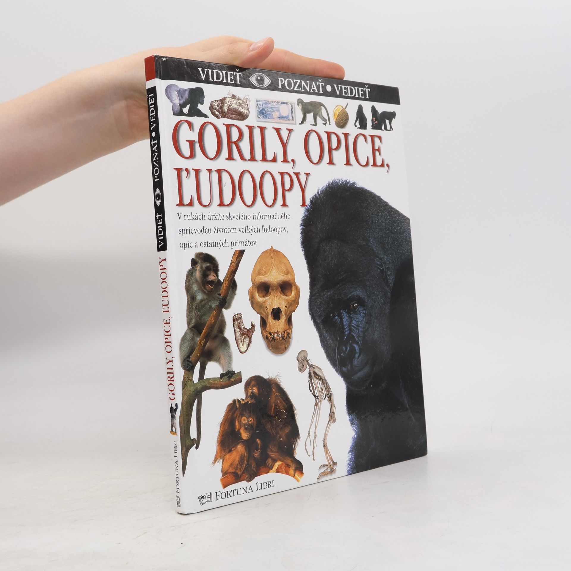 Kolektiv autorů Gorily, opice, ľudoopy (Vidieť, poznať, vedieť)