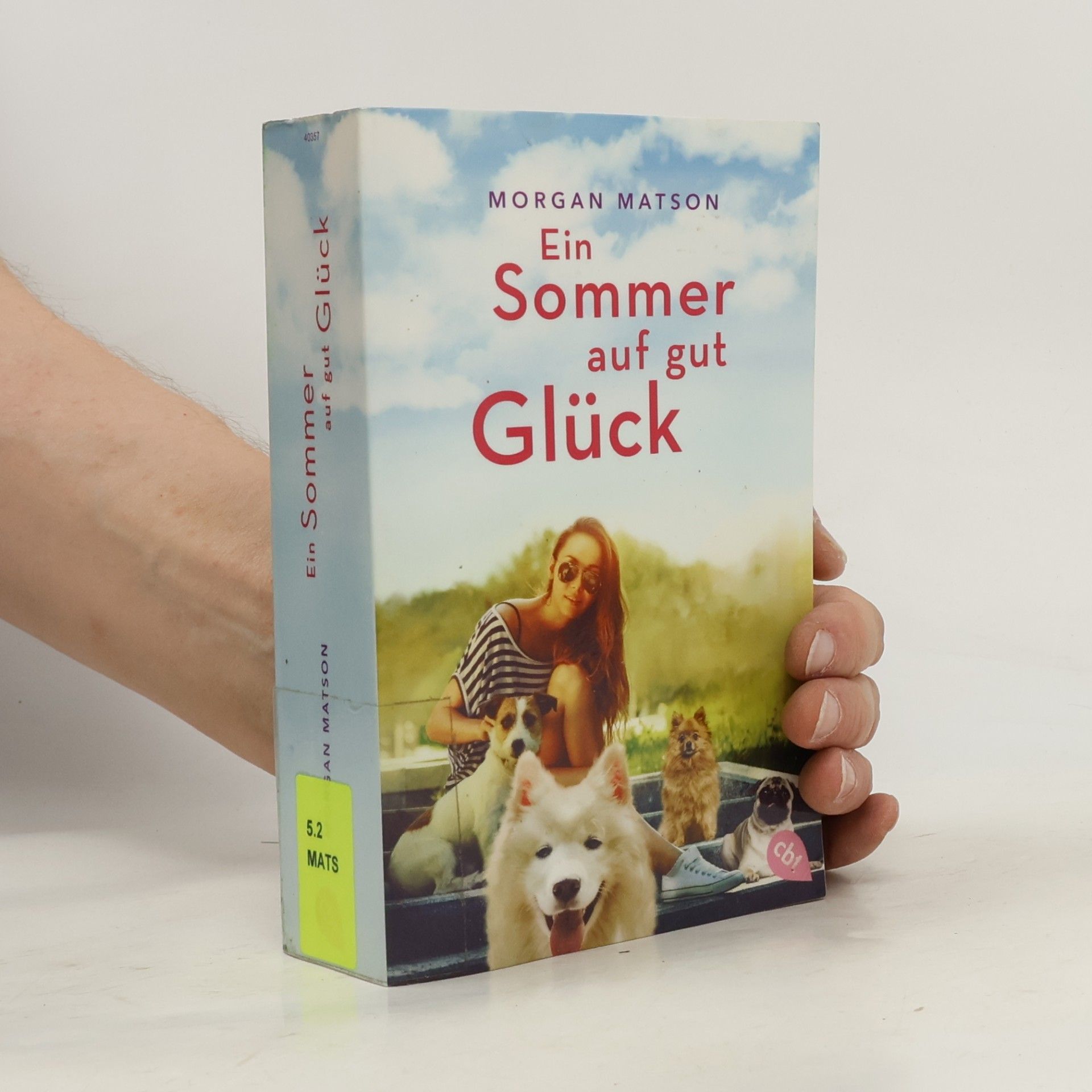 Morgan Matson Ein Sommer auf gut Glück