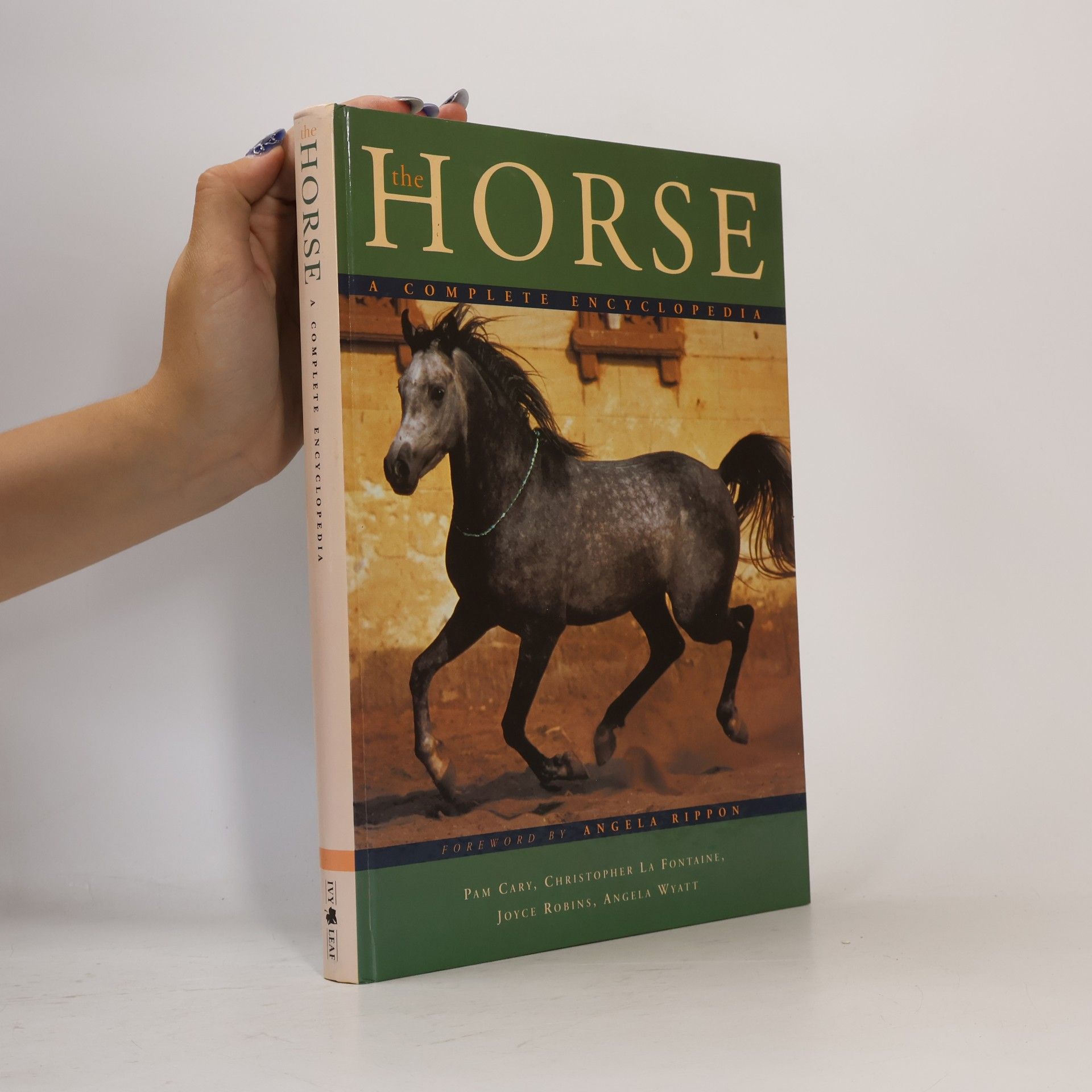 The Horse