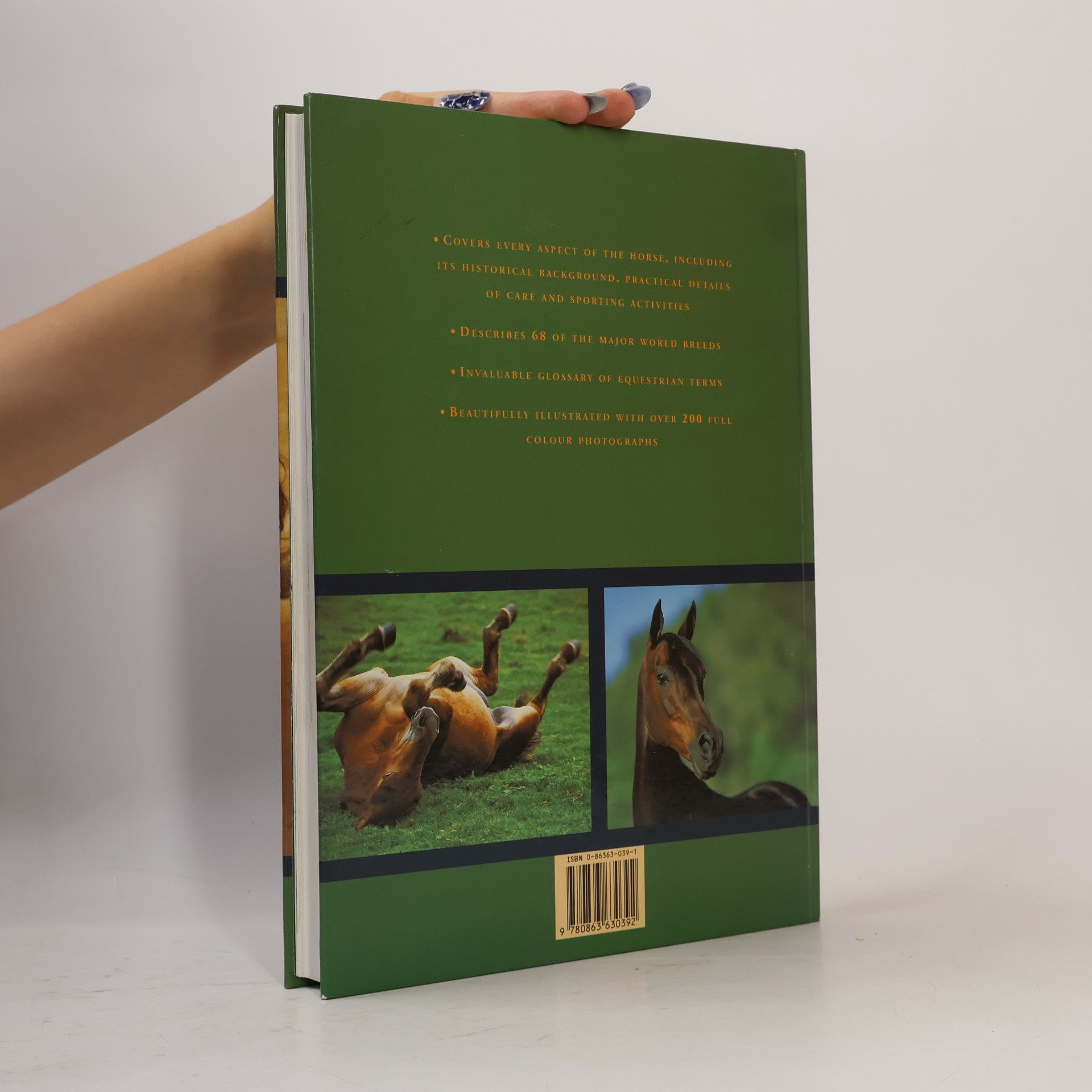 Pam Cary The Horse