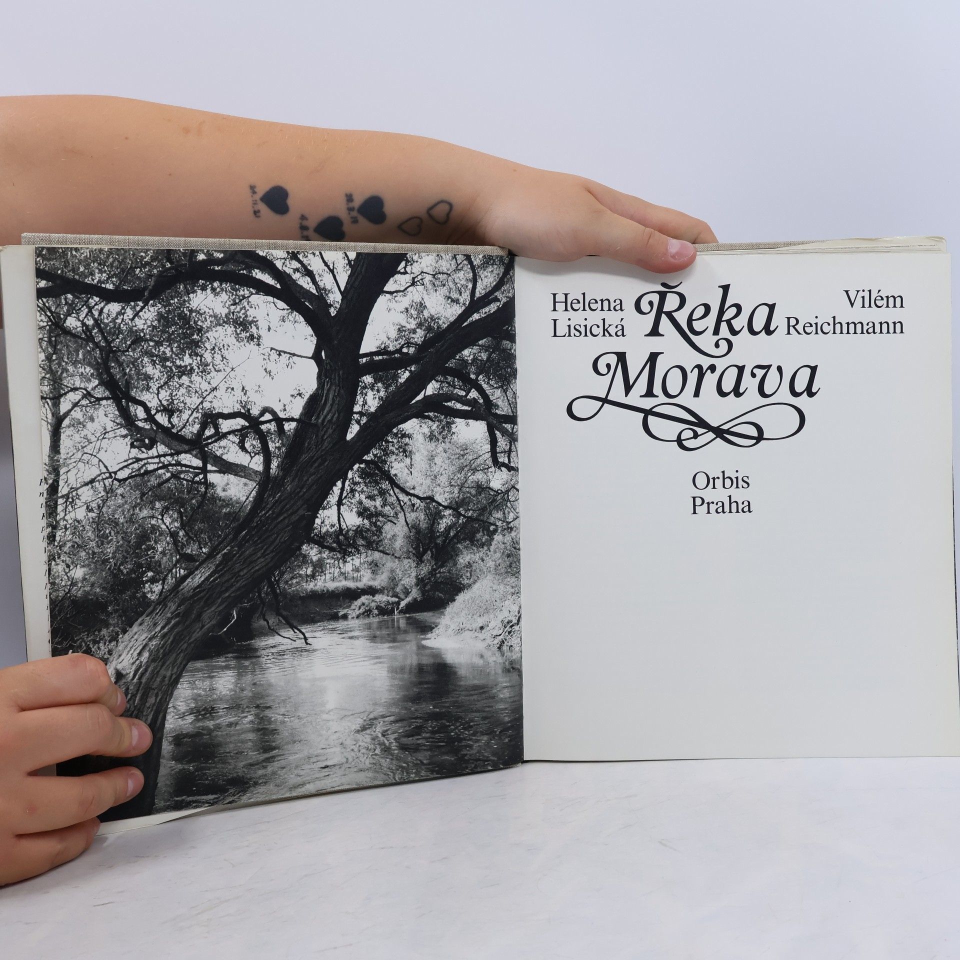 Helena Lisická Řeka Morava