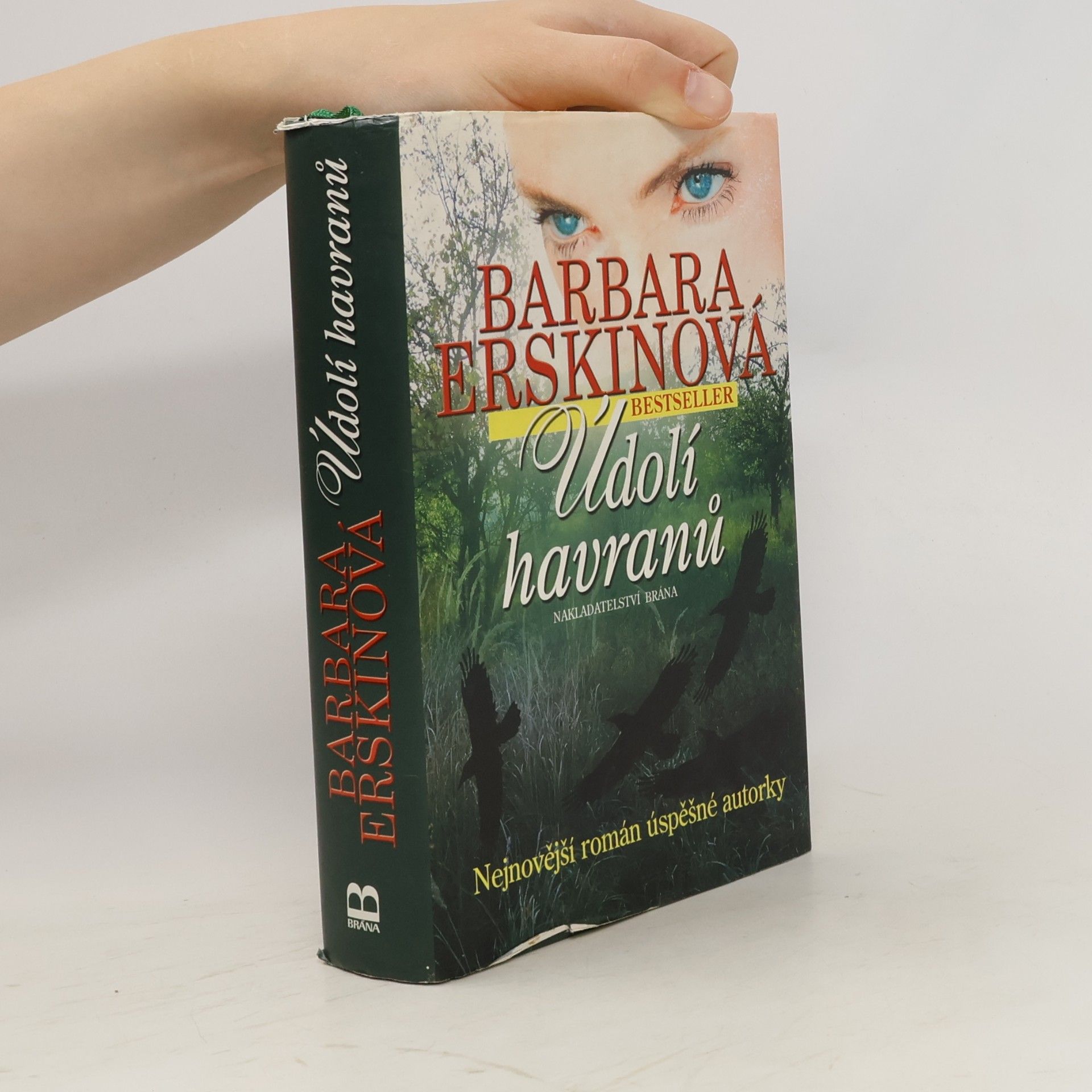 Barbara Erskinová Údolí havranů