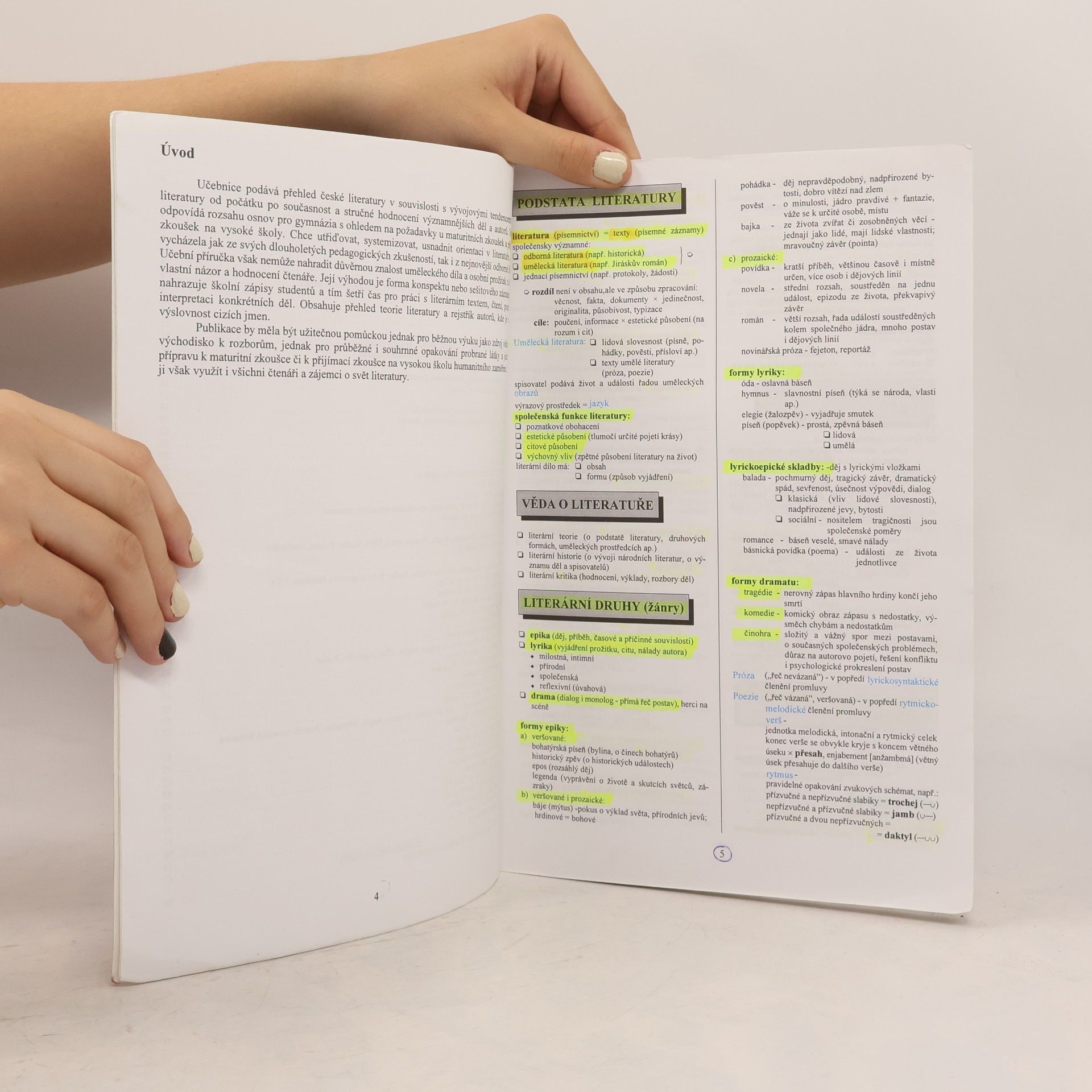 Marie Sochrová Literatura v kostce pro střední školy