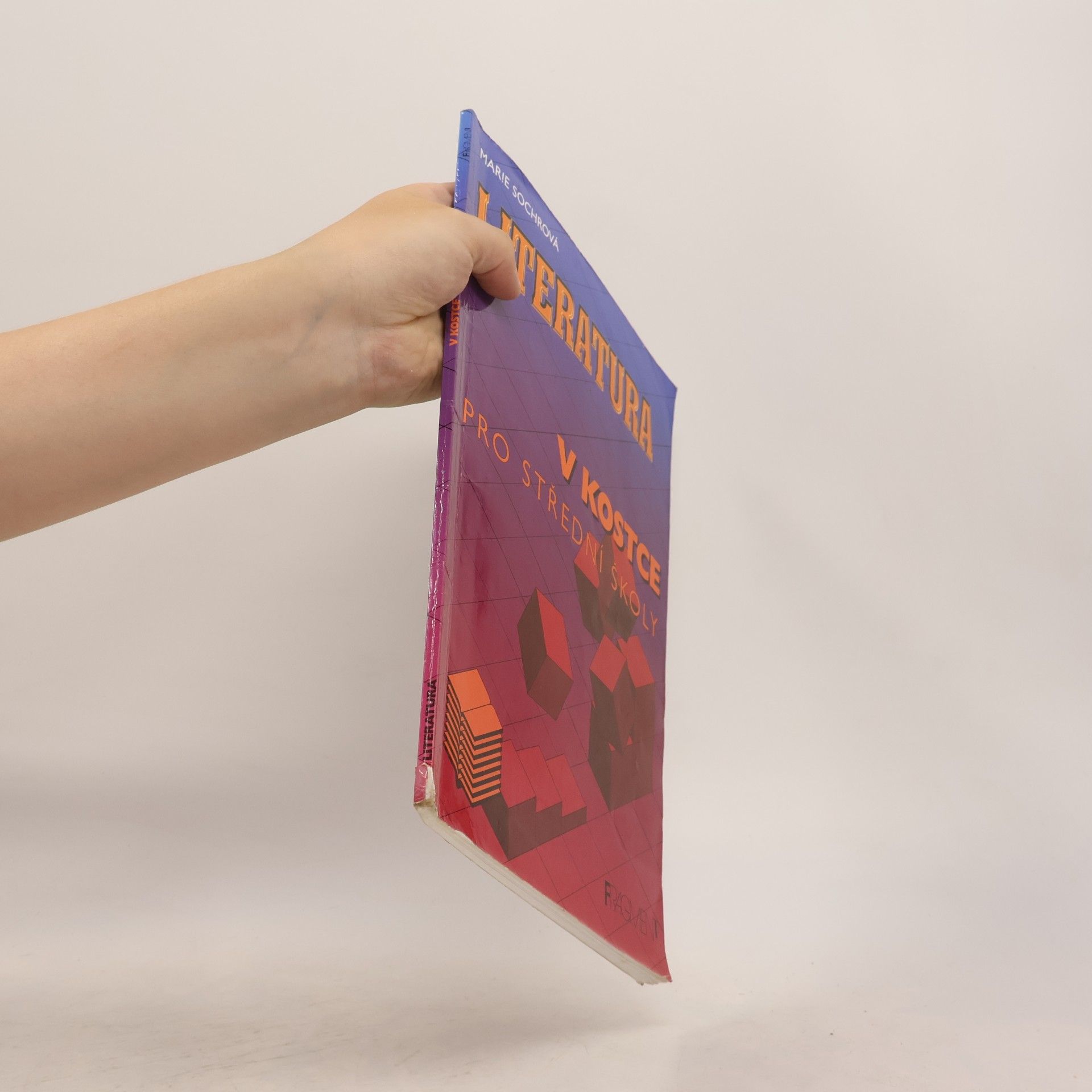 Marie Sochrová Literatura v kostce pro střední školy