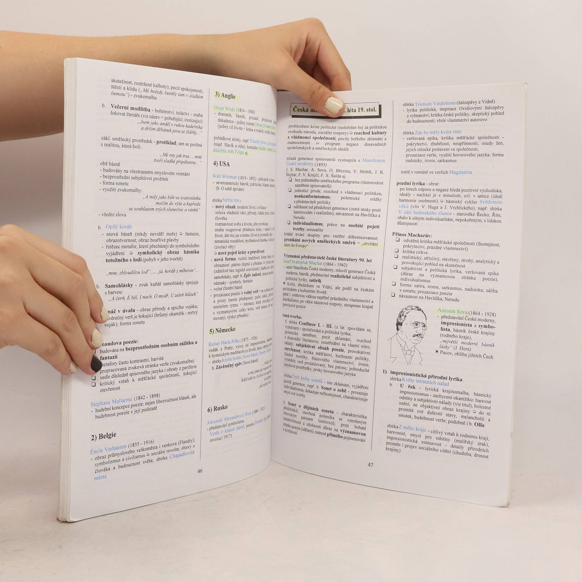 Marie Sochrová Literatura v kostce pro střední školy