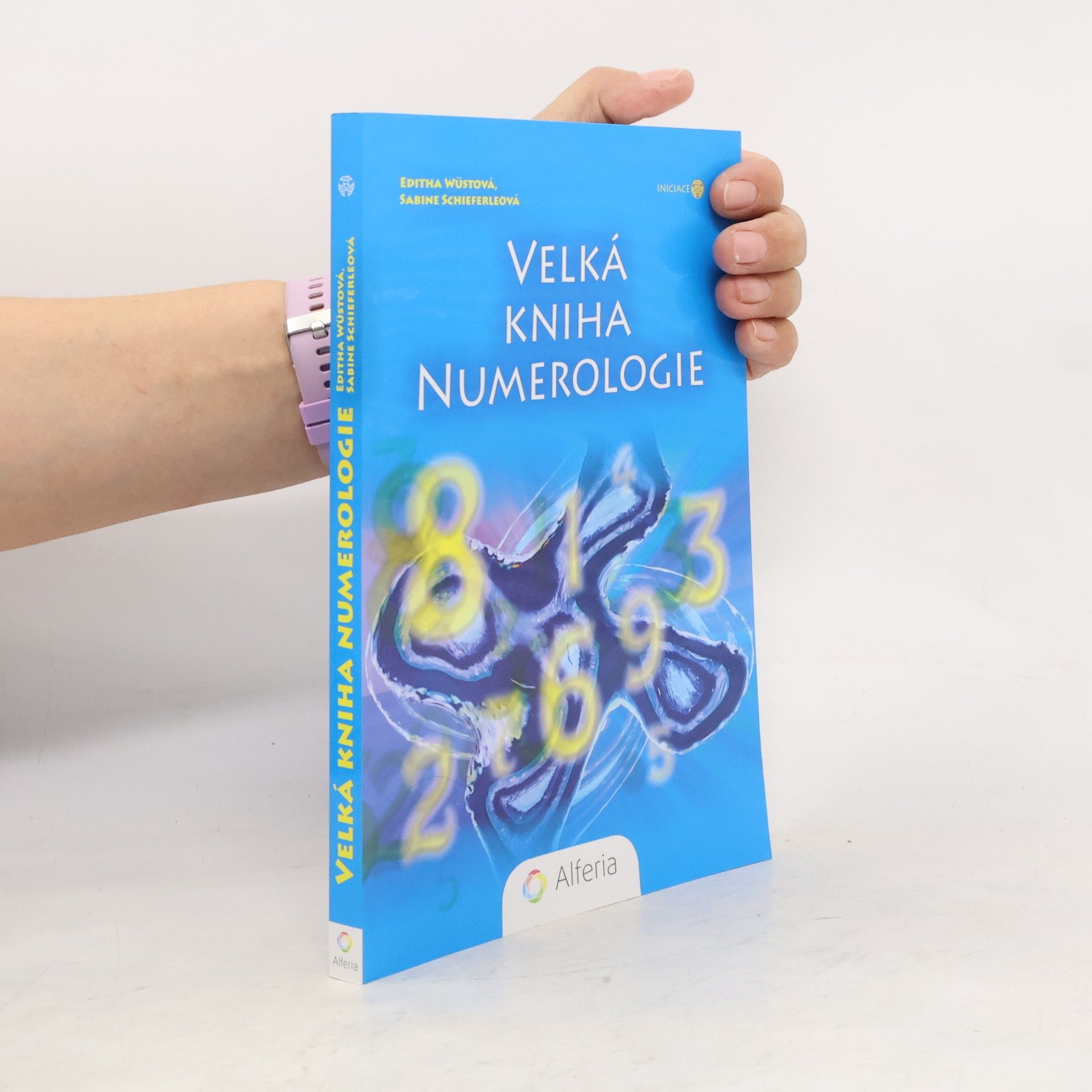 Editha Wüst Velká kniha numerologie