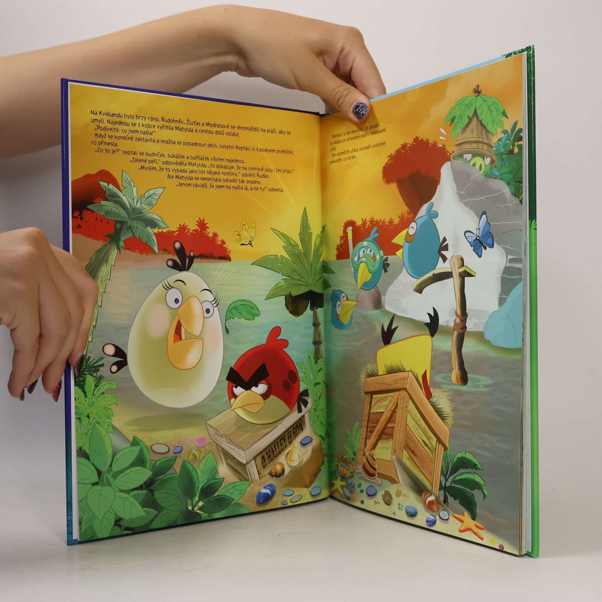 Tapani Bagge Angry Birds. Záhada zeleného ptáka