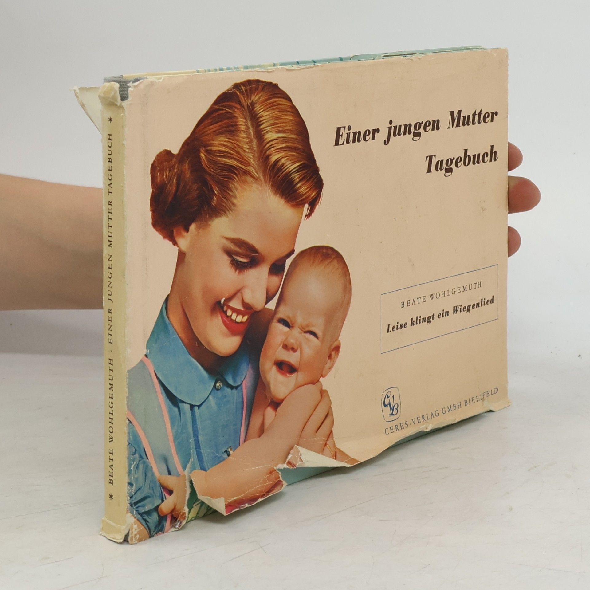 Einer jungen Mutter Tagebuch
