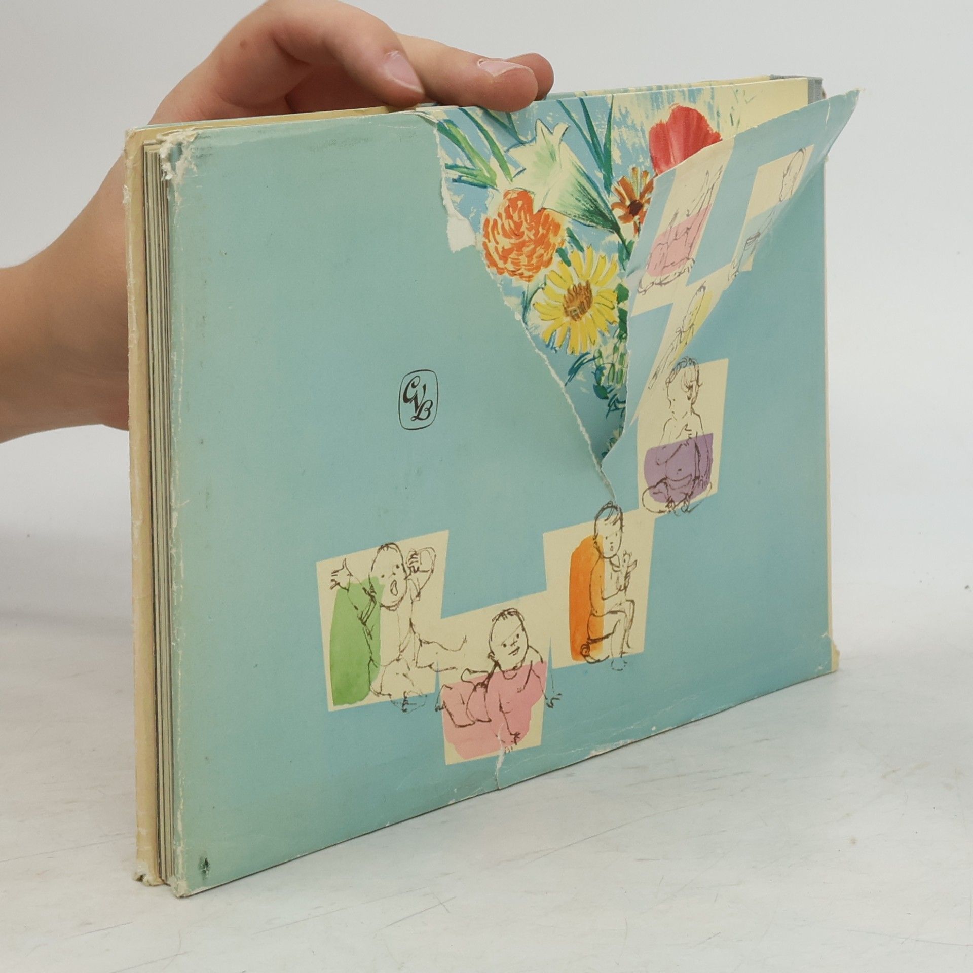 Beate Wohlgemuth Einer jungen Mutter Tagebuch