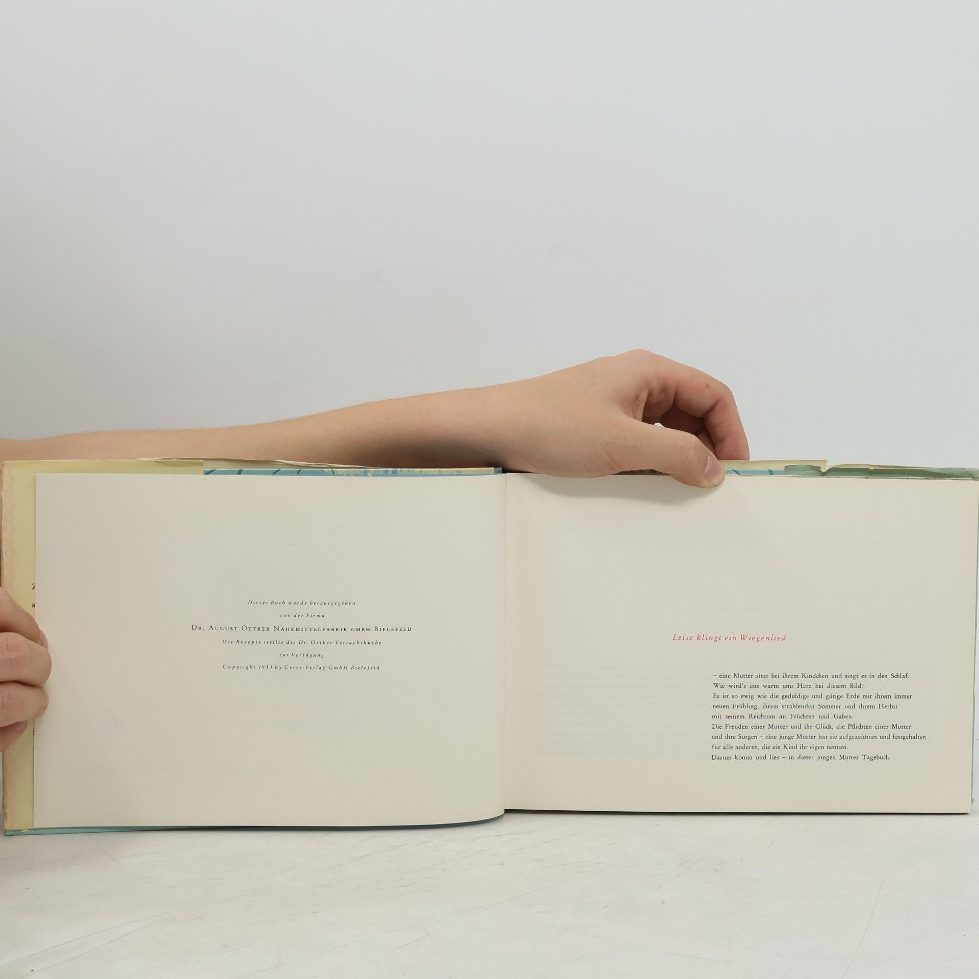Beate Wohlgemuth Einer jungen Mutter Tagebuch