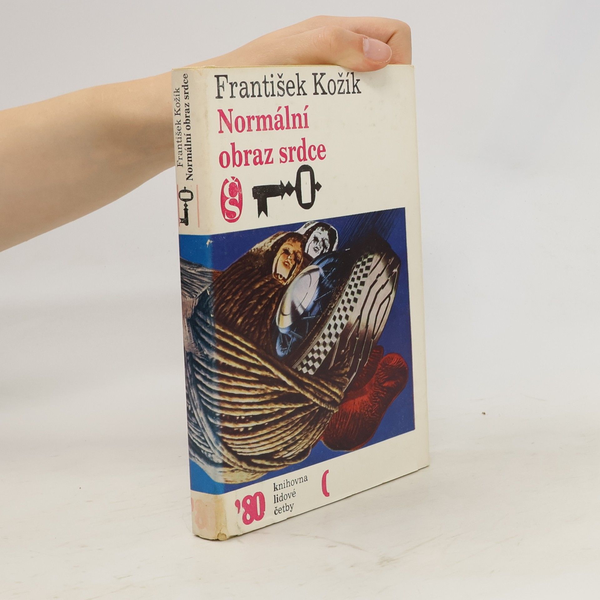 František Kožík Normální obraz srdce
