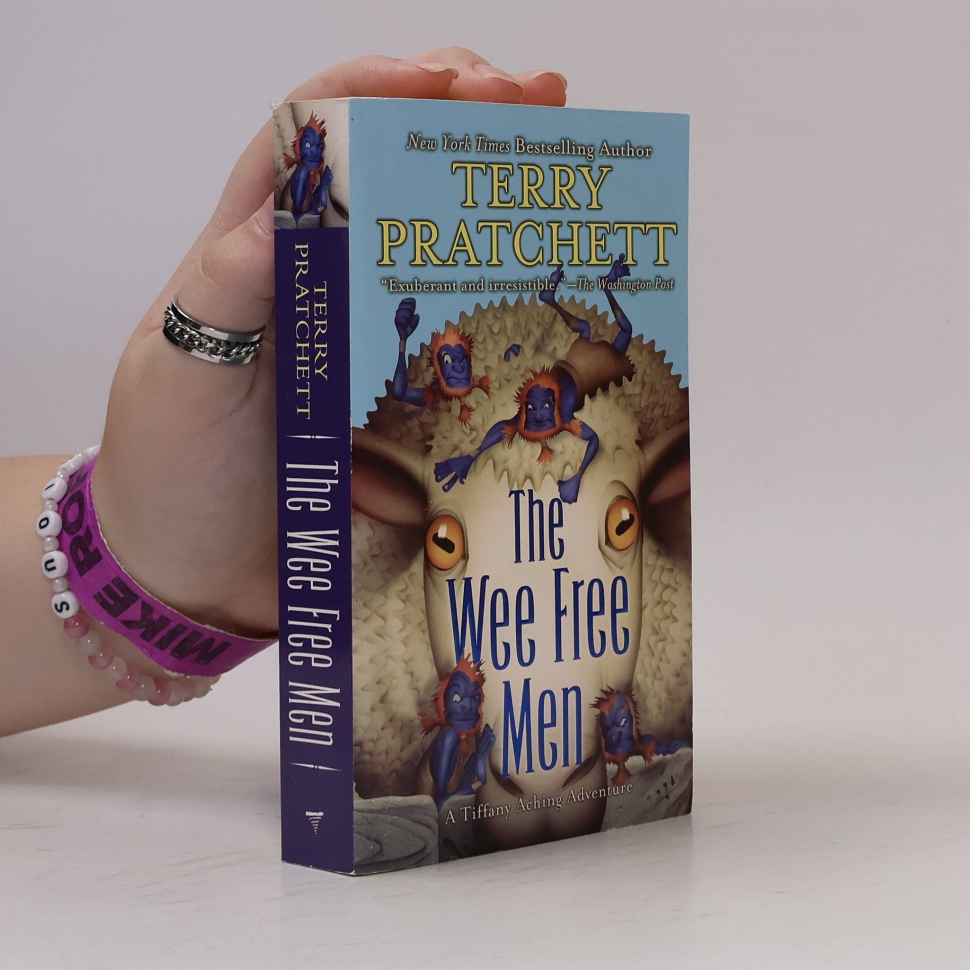 Terry Pratchett The Wee Free Men