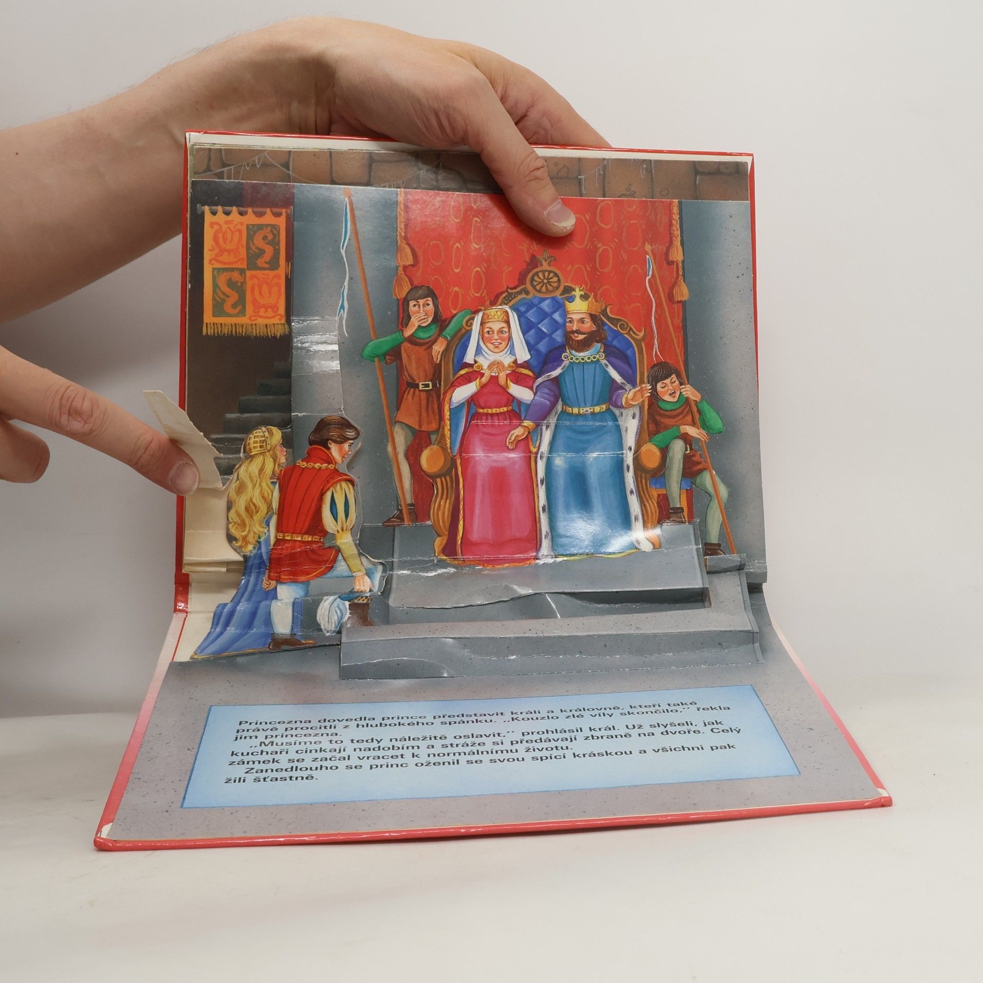 Collectif d'auteurs Šípková Růženka