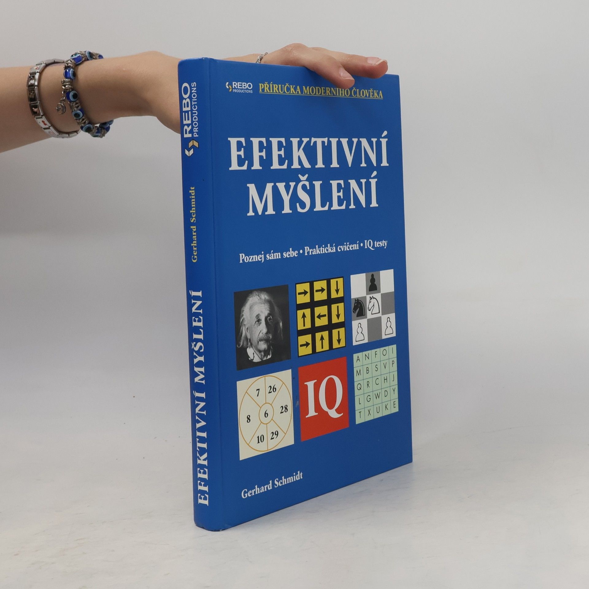Hans-Gerhard Schmidt Efektivní myšlení