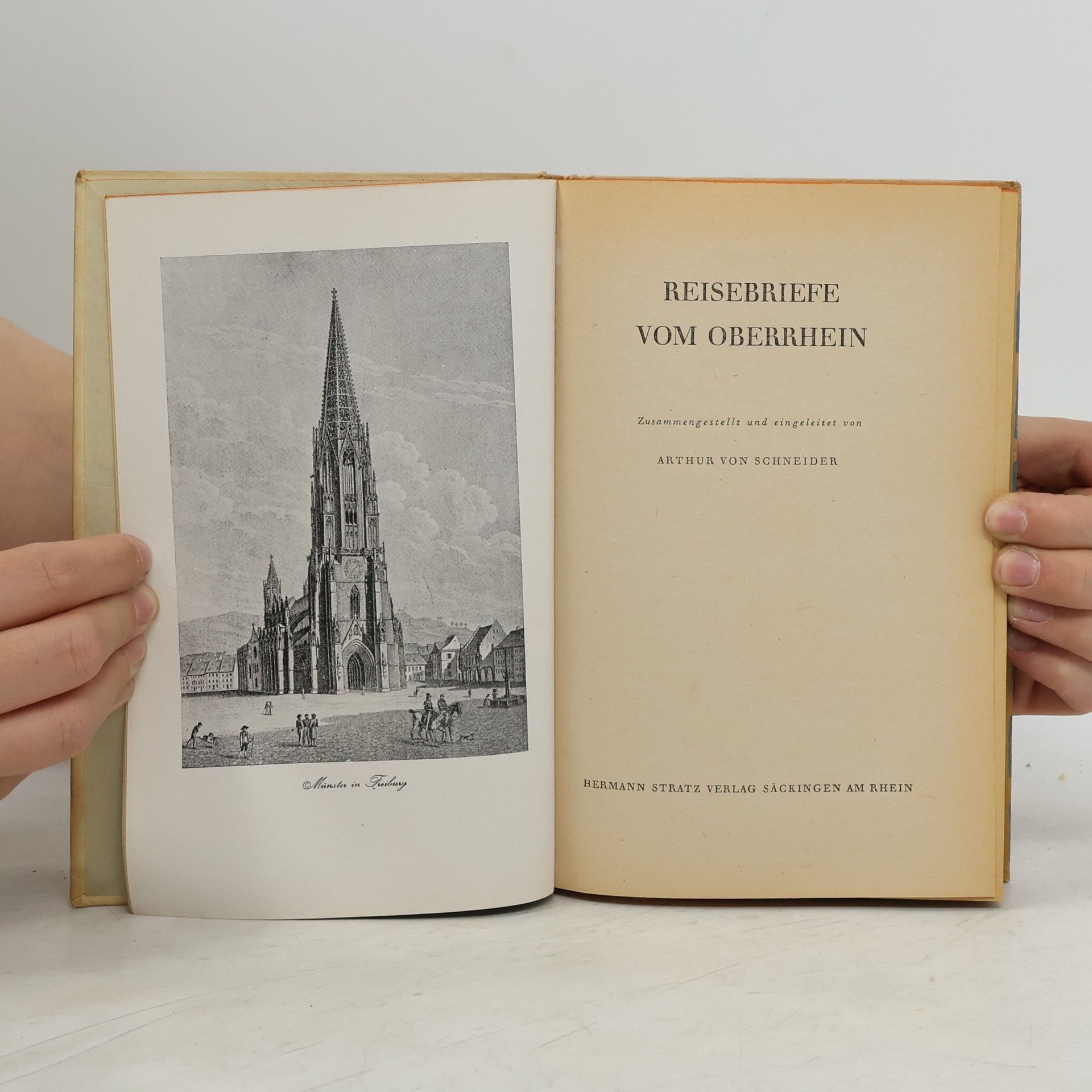 Arthur von Schneider Reisebriefe vom Oberrhein
