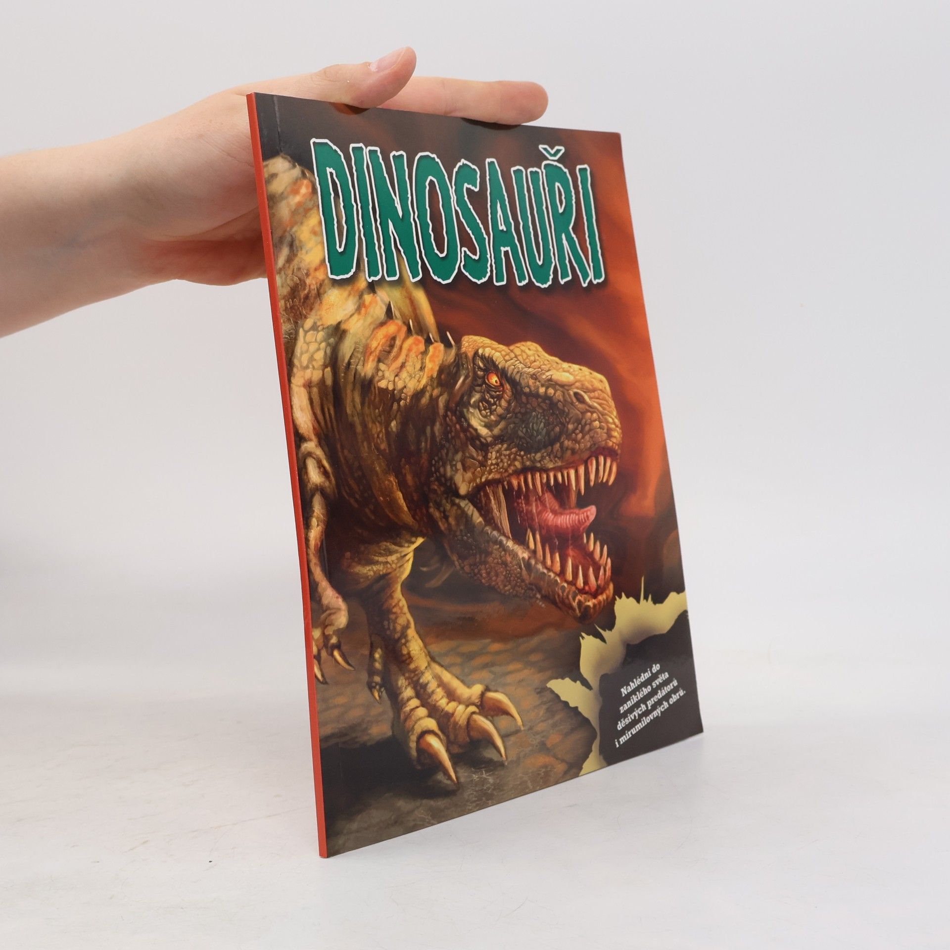 Autorenkollektiv Dinosauři - kniha a modely a samolepky