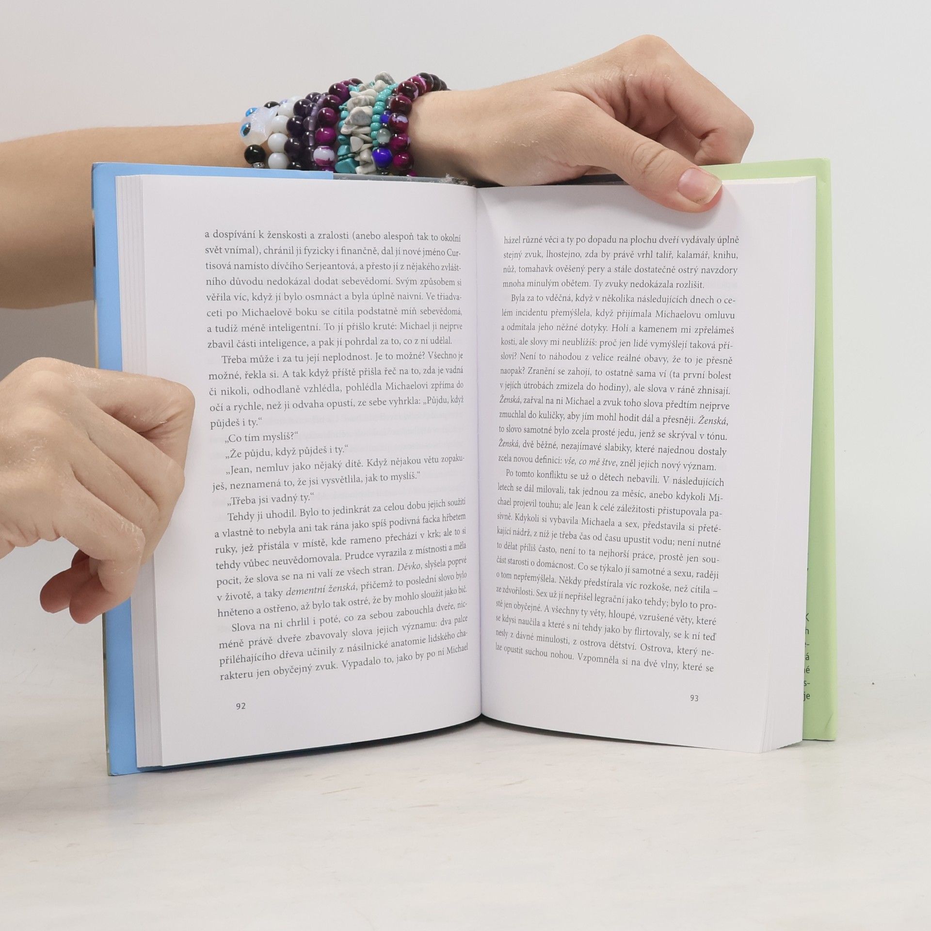 Julian Barnes Pohlédnout do slunce