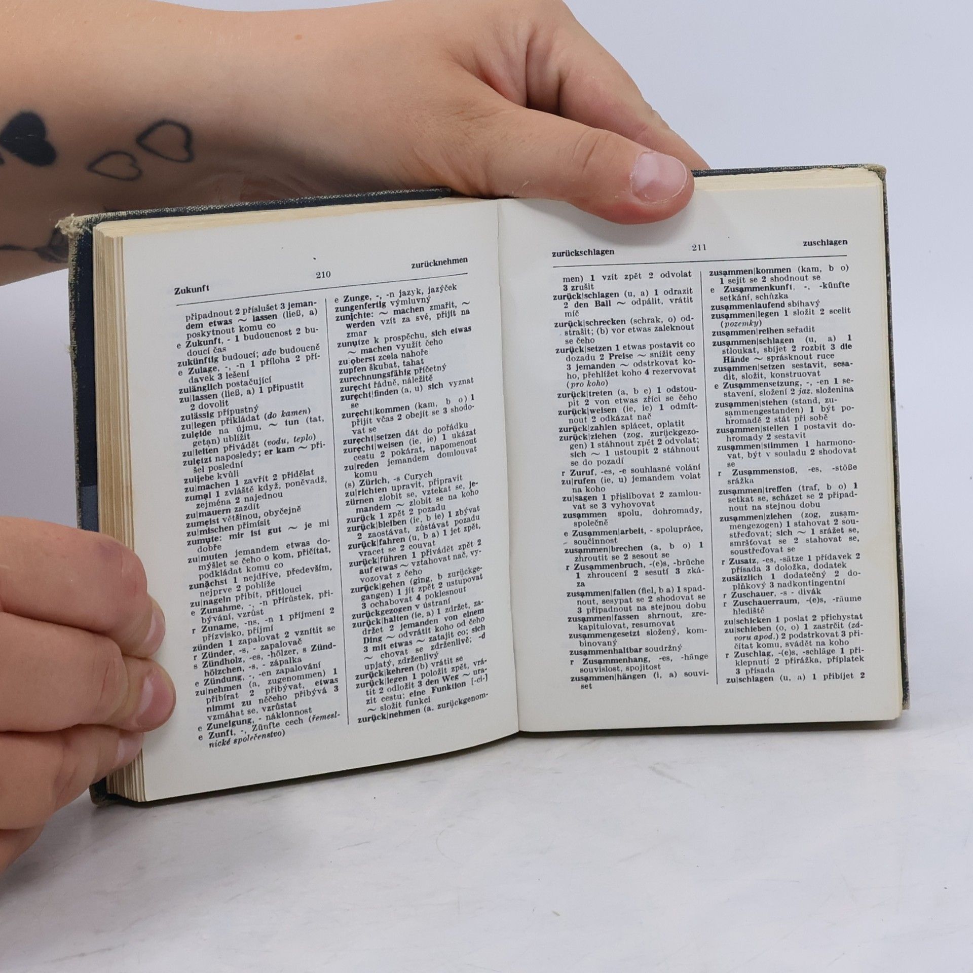 Autorenkollektiv Německo-český a česko-německý kapesní slovník