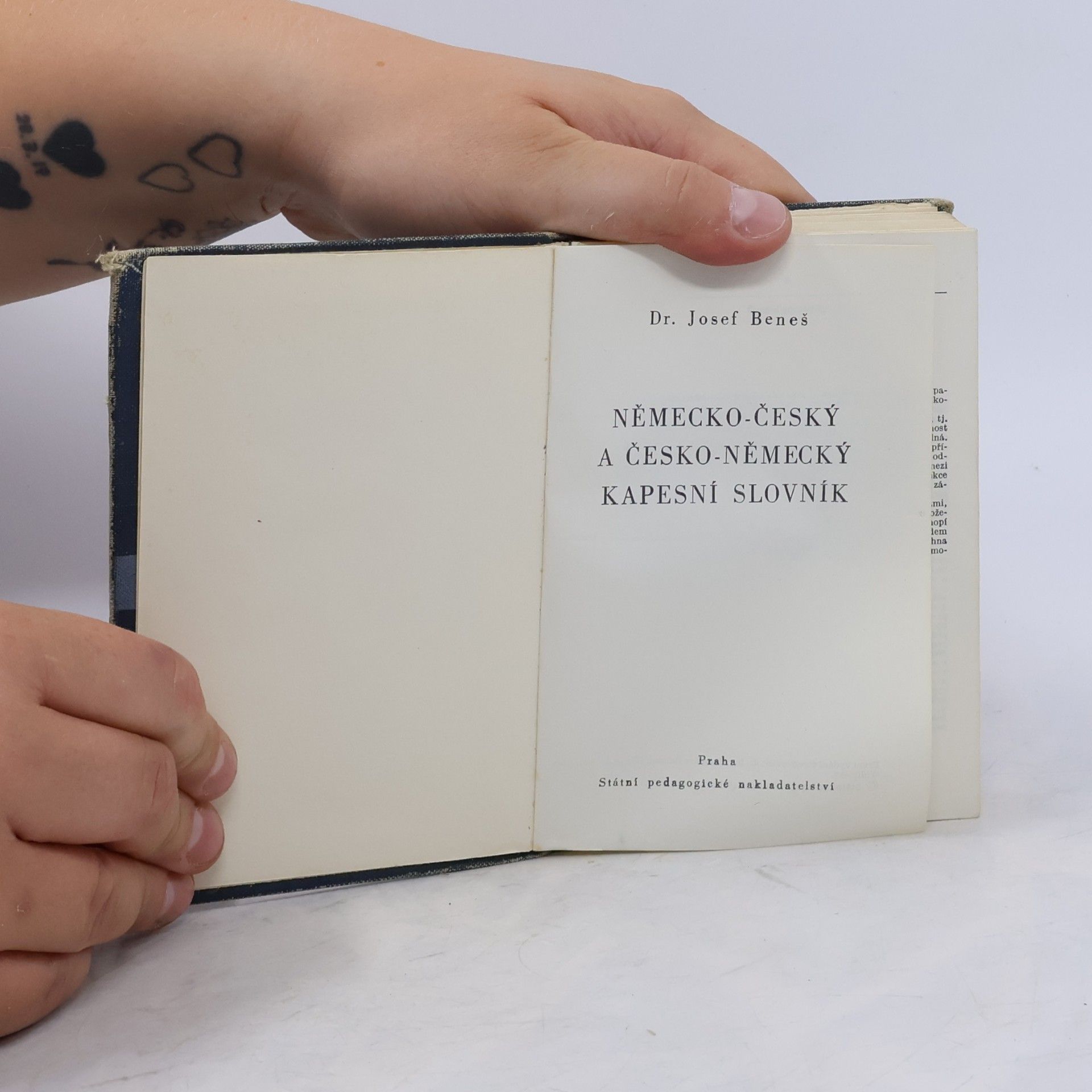 Autorenkollektiv Německo-český a česko-německý kapesní slovník