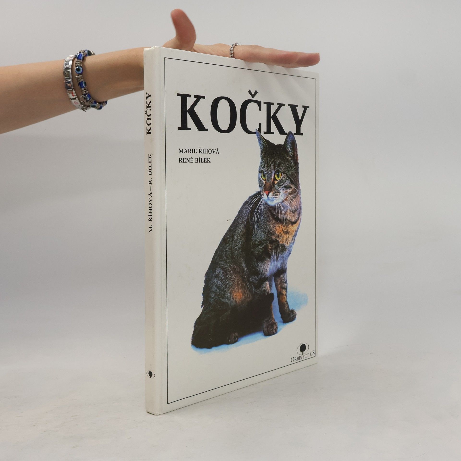 Kočky