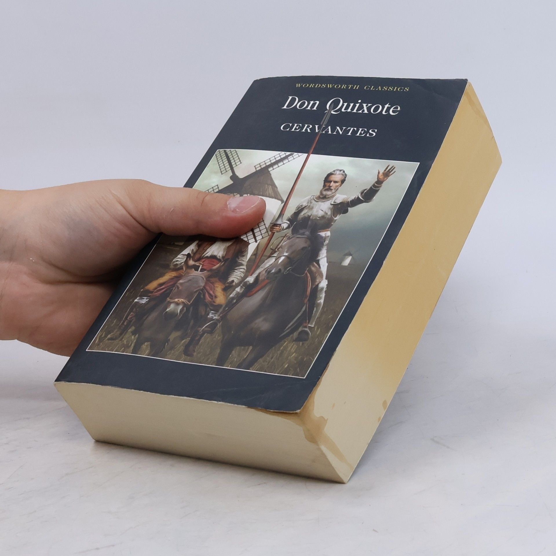 Miguel de Cervantes Saavedra Don Quixote