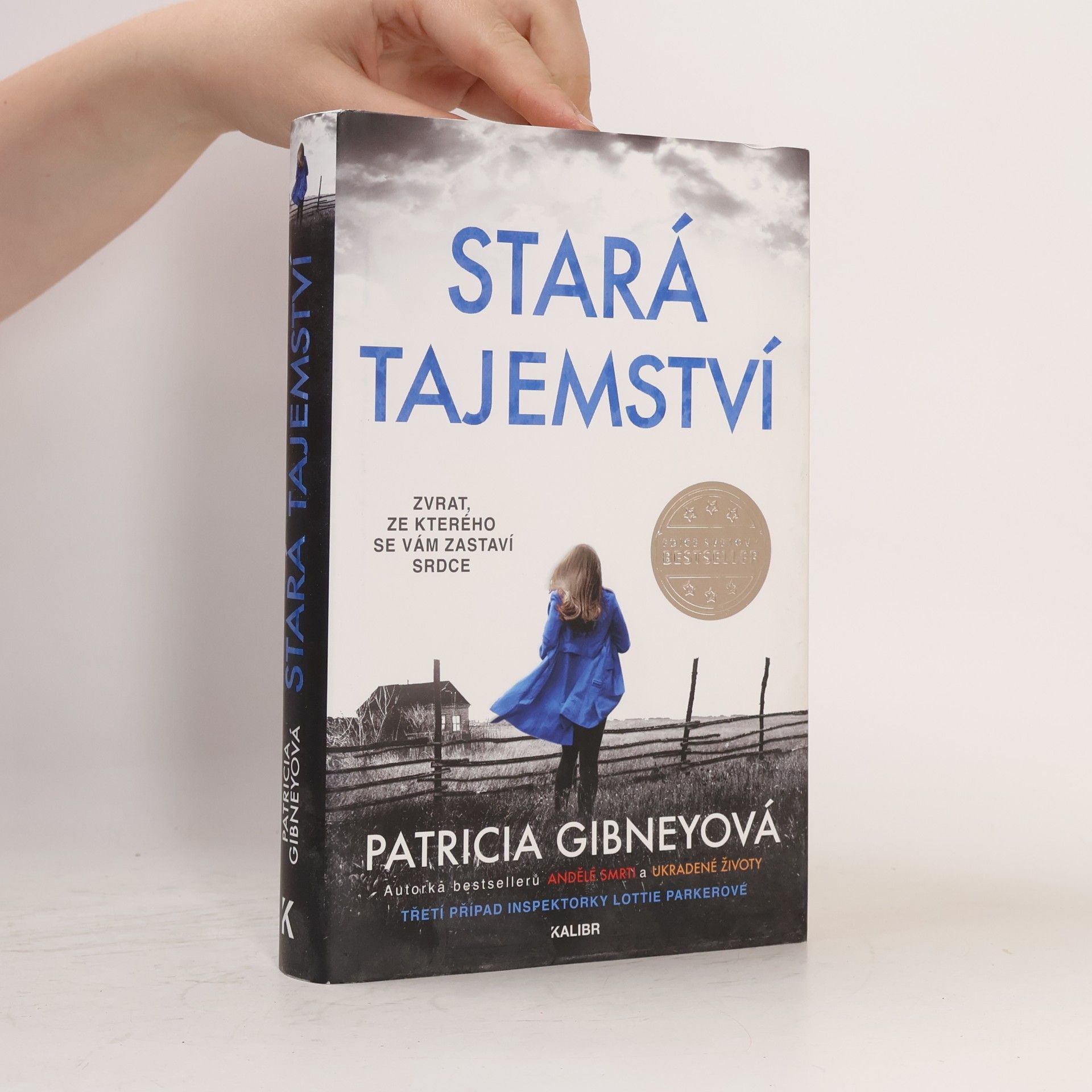 Patricia Gibney Stará tajemství