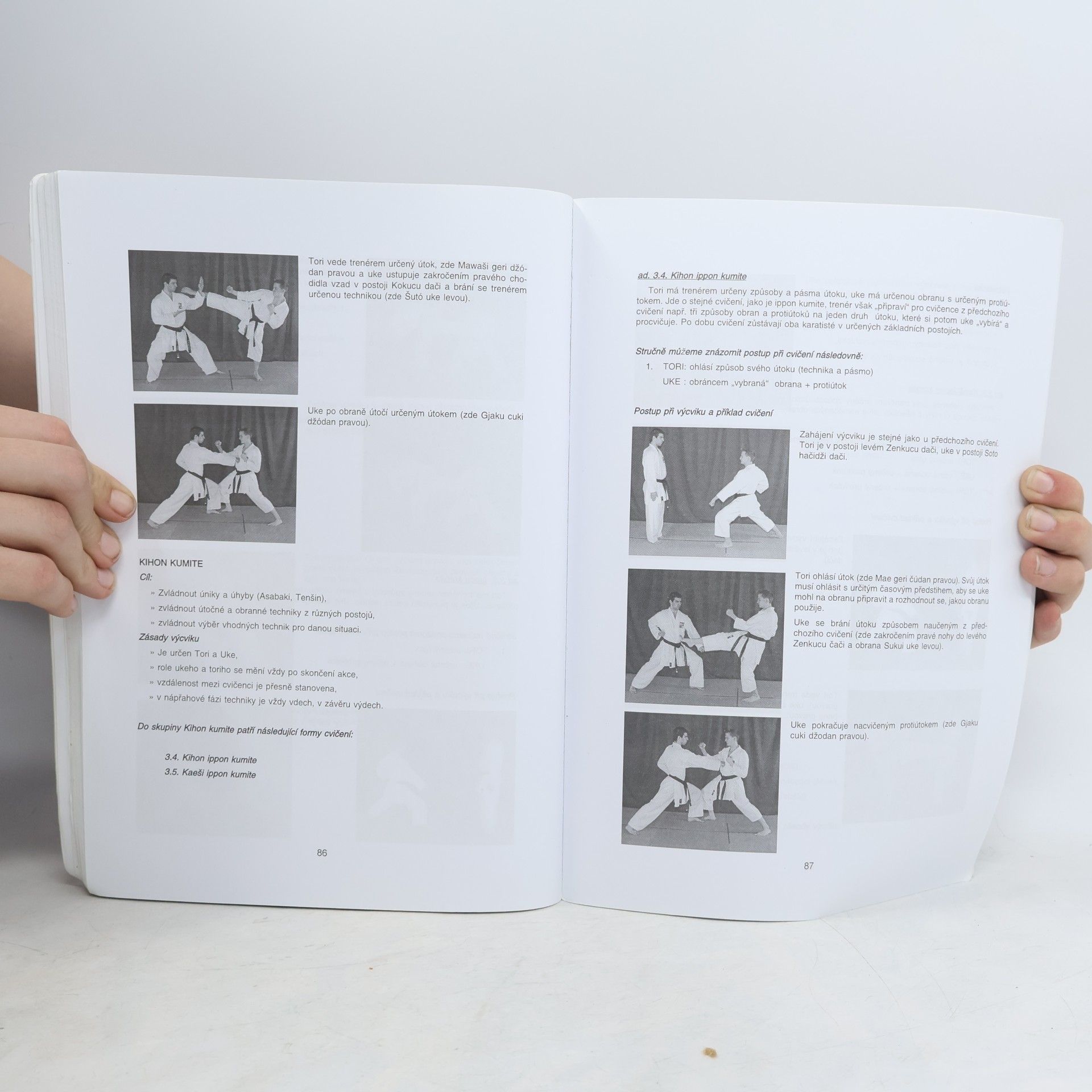 Pavel Král Karate Dó - učební text pro trenéry III. a II. třídy
