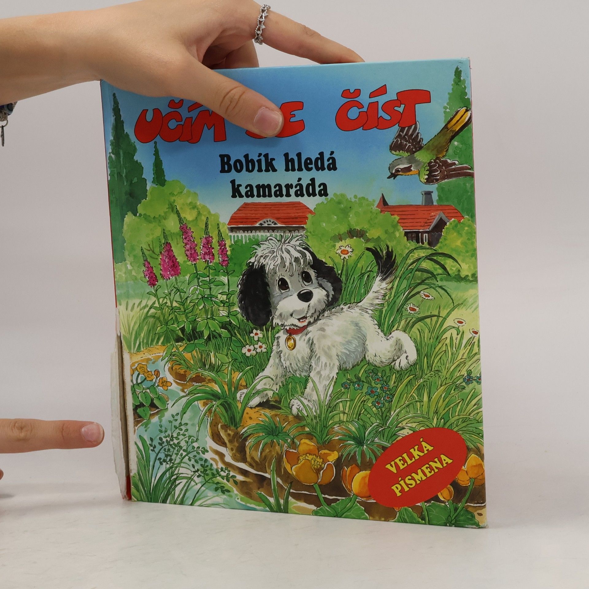 Ivo Odehnal Bobík hledá kamaráda