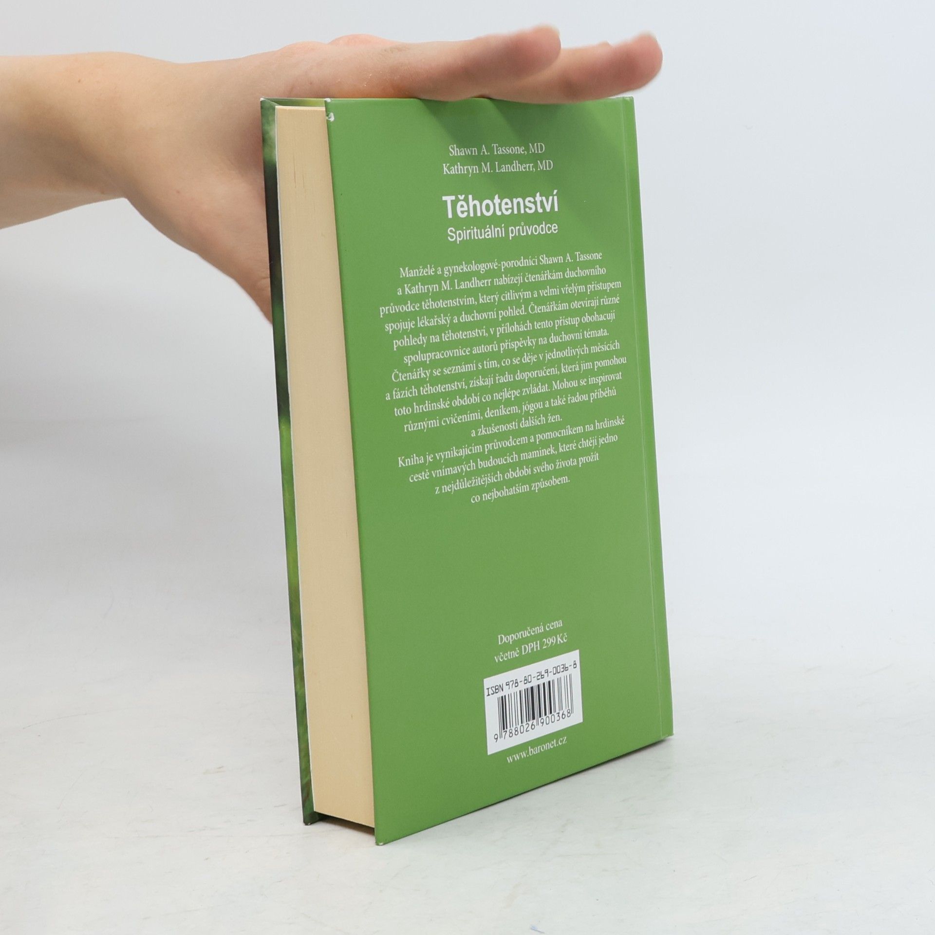 Shawn A. Tassone Těhotenství. Spirituální průvodce