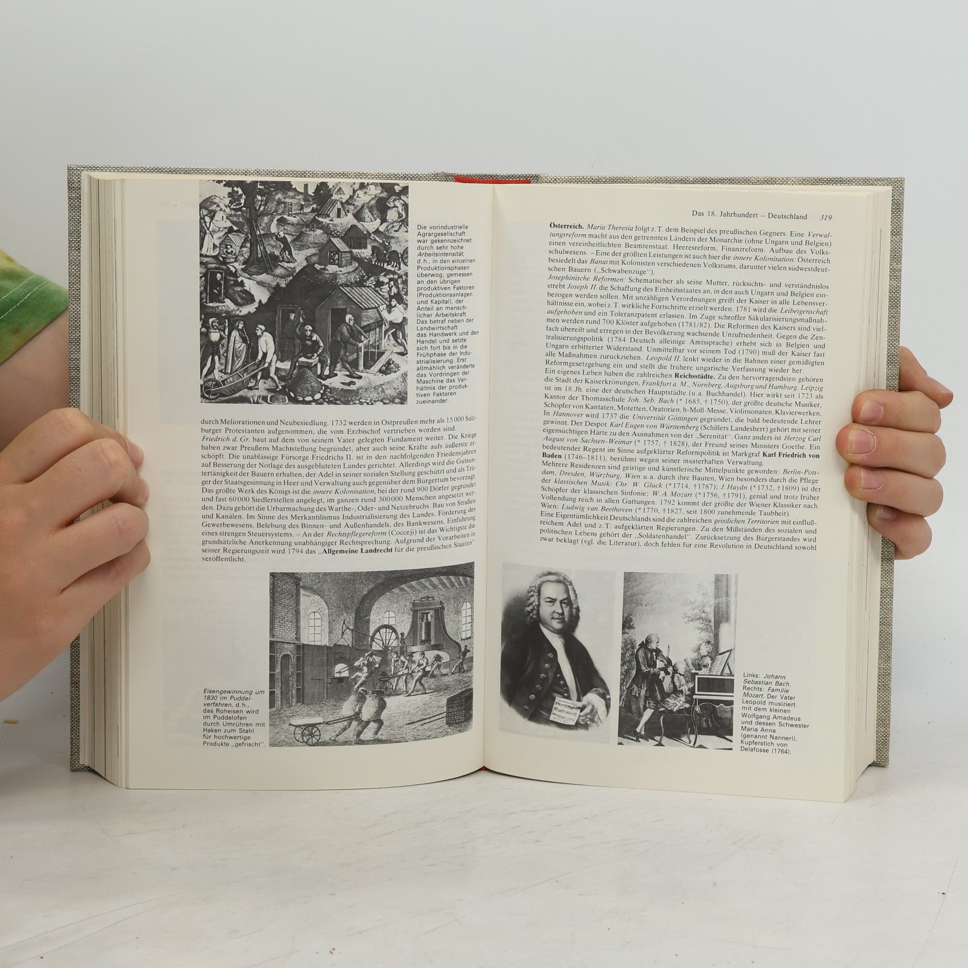 Johanna Schomerus Der illustrierte Ploetz