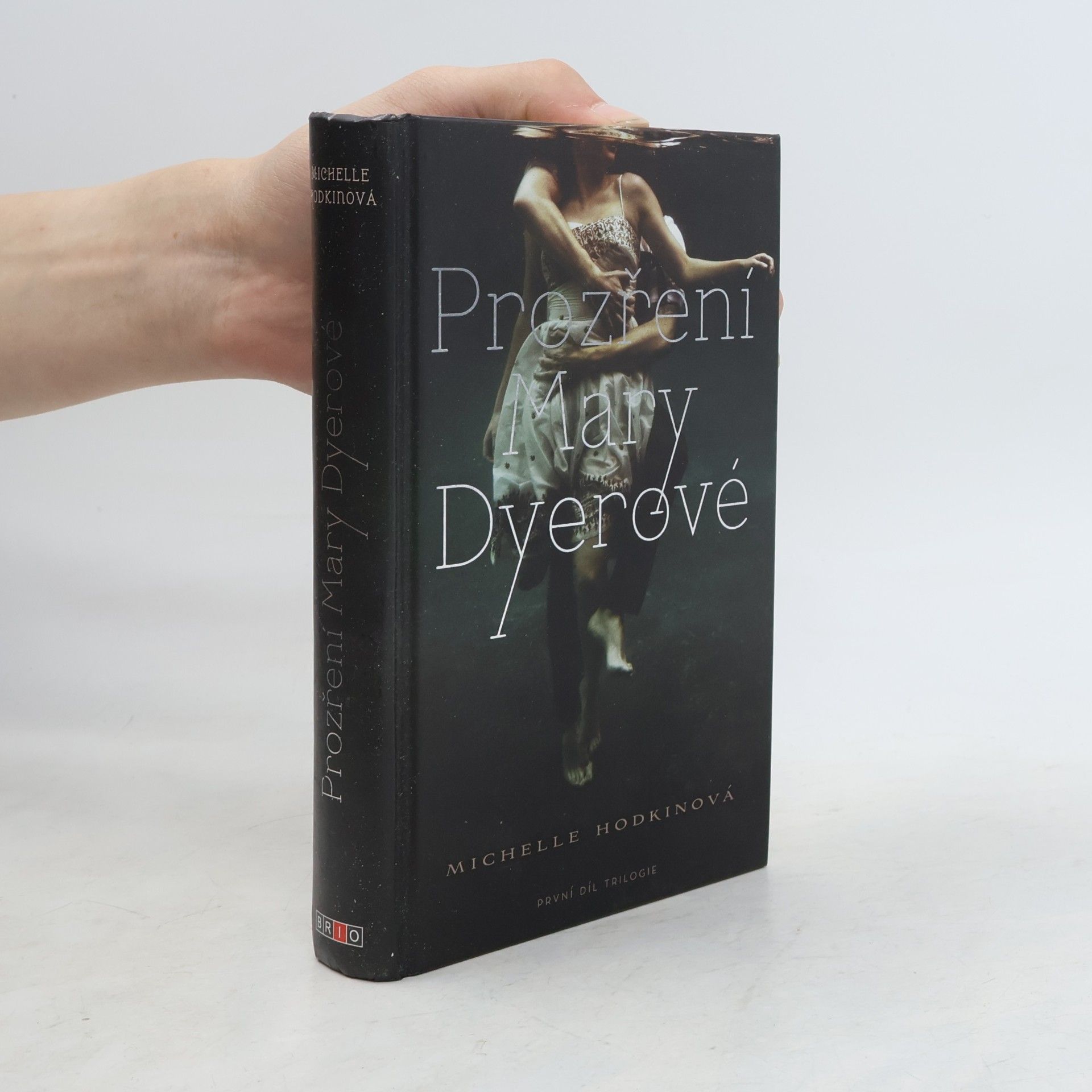 Michelle Hodkin Prozření Mary Dyerové