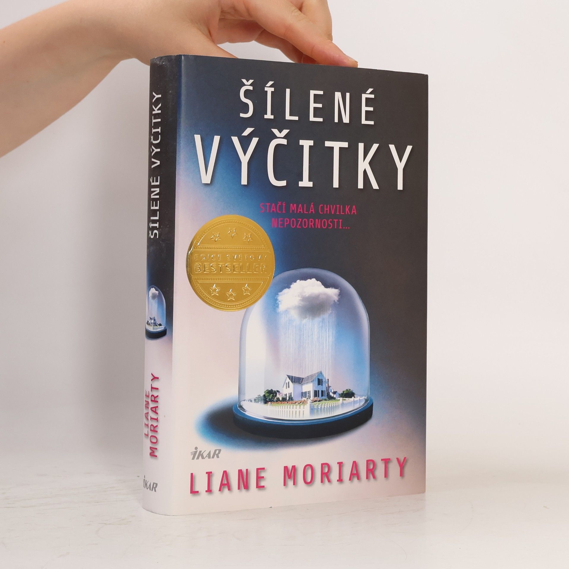 Liane Moriarty Šílené výčitky