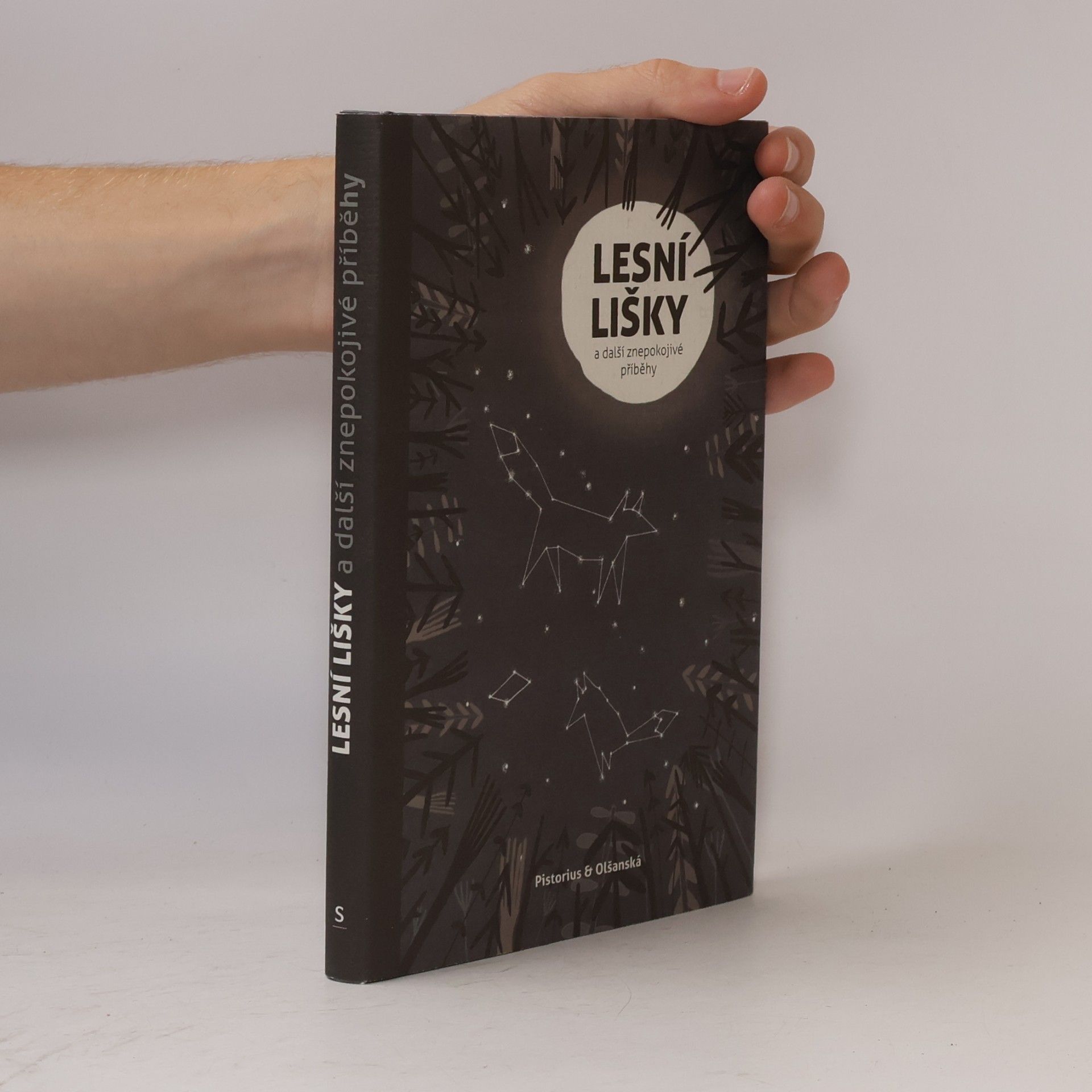 Autorenkollektiv Lesní lišky a další znepokojivé příběhy. Antologie finských fantastických povídek
