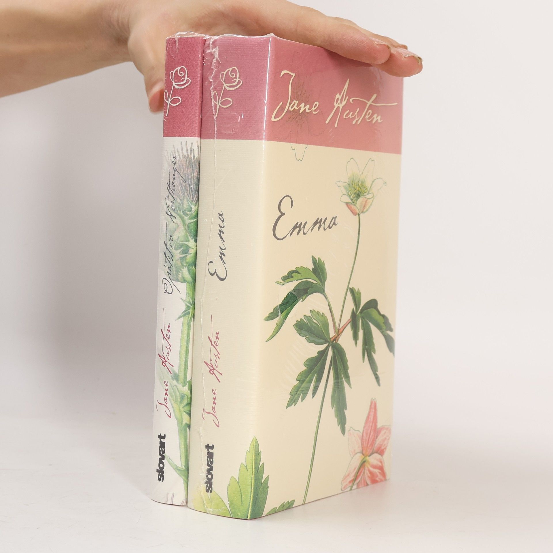 Jane Austen Opátstvo Northanger