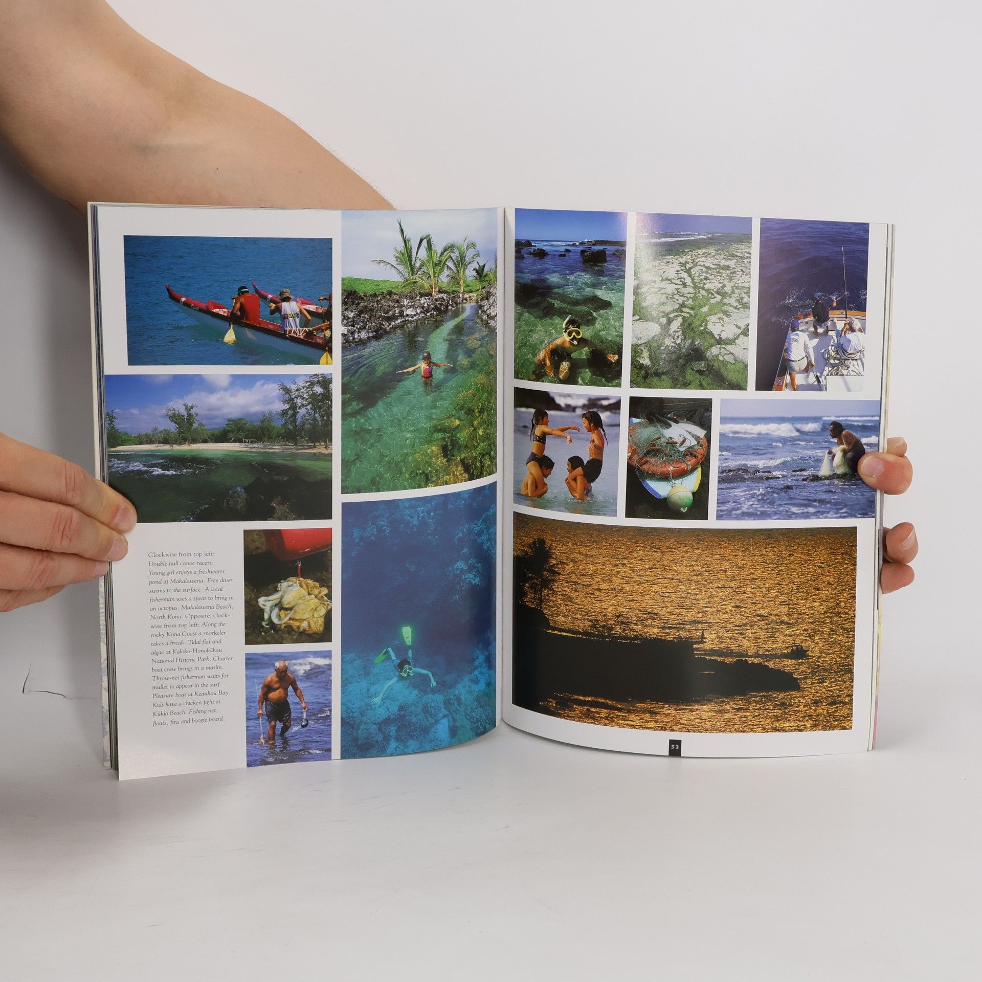 Stu Dawrs Discover Hawaii: The Big Island