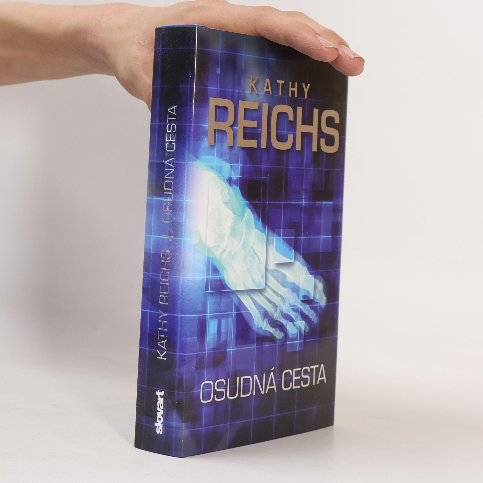 Kathy Reichsová Osudná cesta