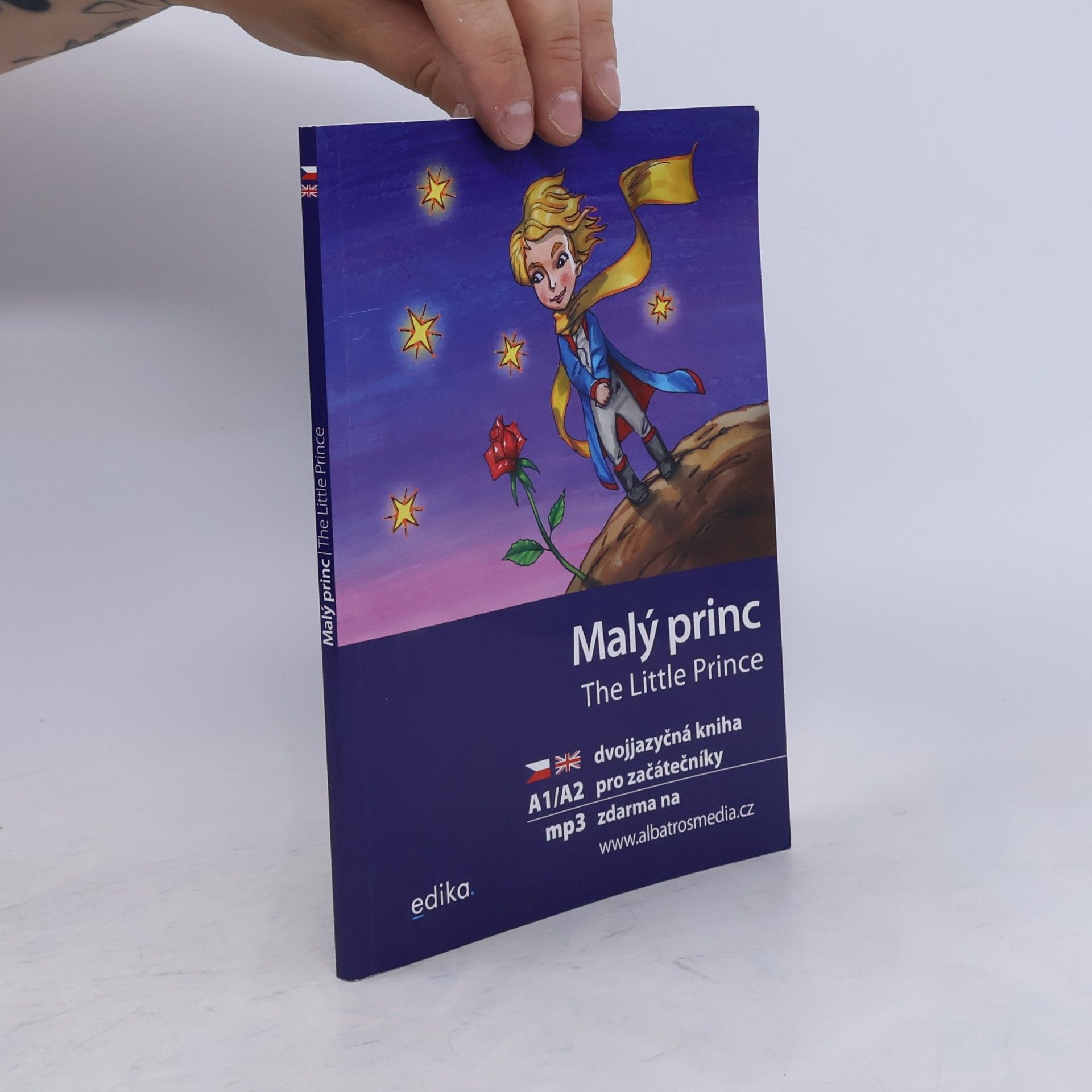 Dana Olšovská Malý princ / The Little Prince