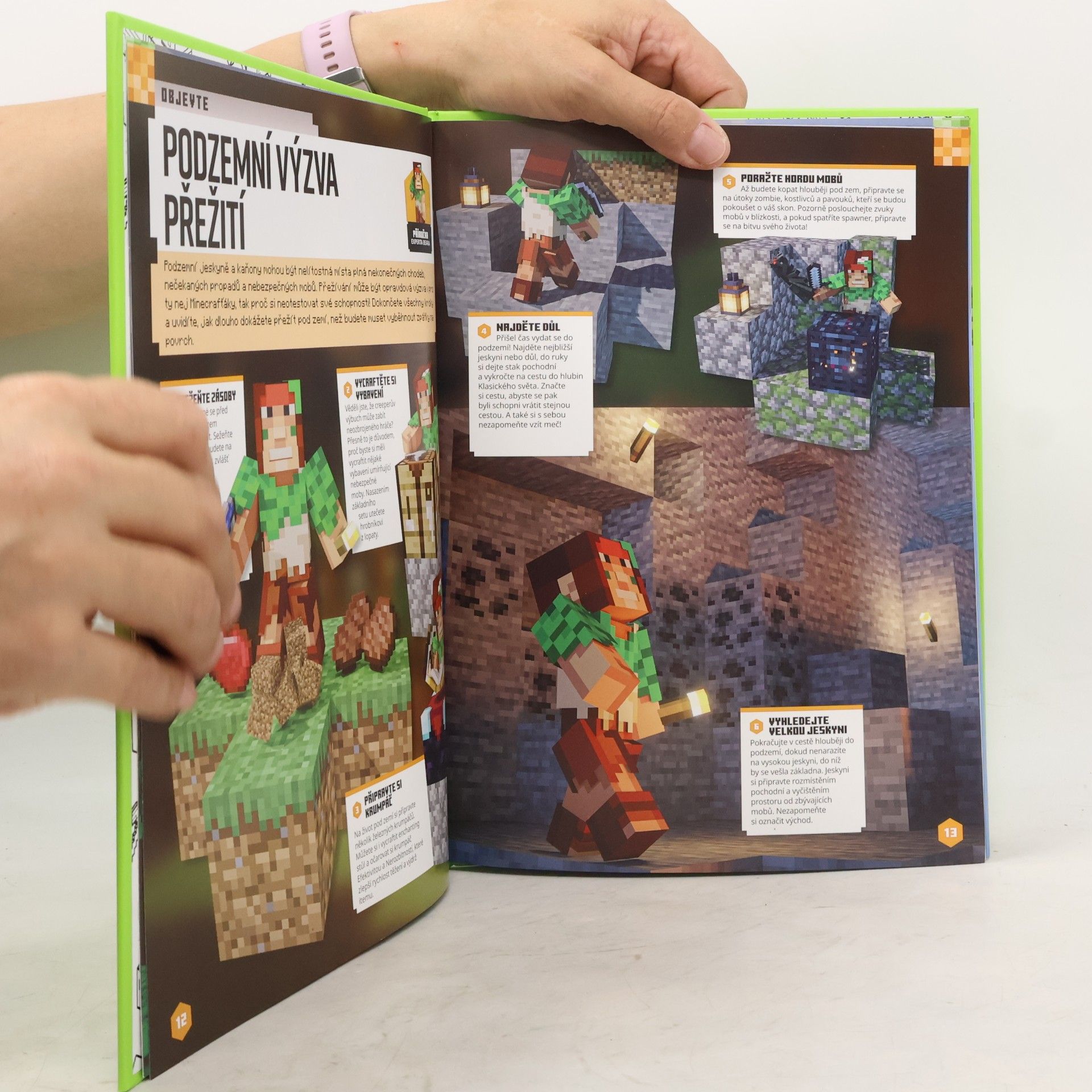 Dan Whitehead Minecraft. Knížka na celý rok