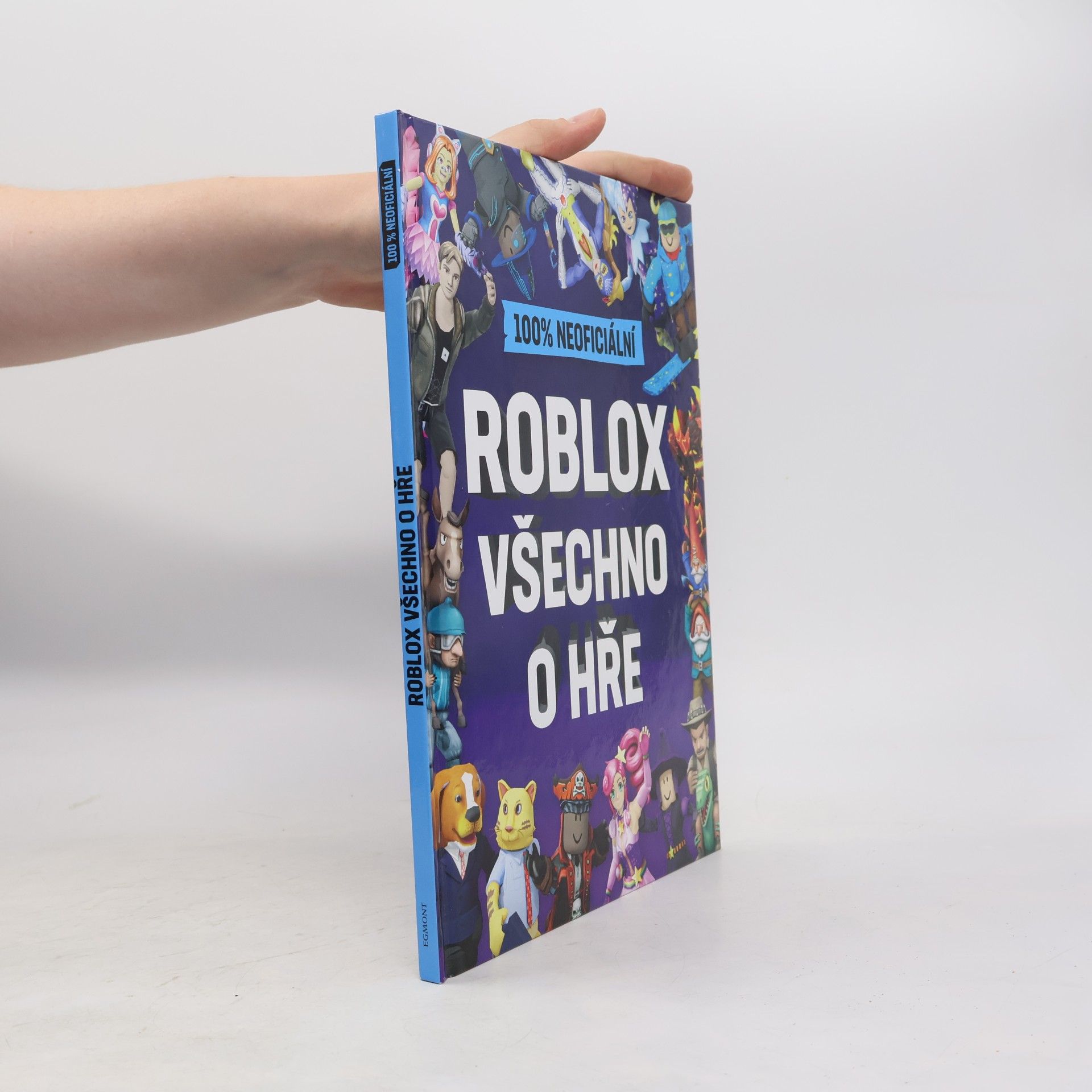 Matt Burgess 100% neoficiální Roblox : všechno o hře