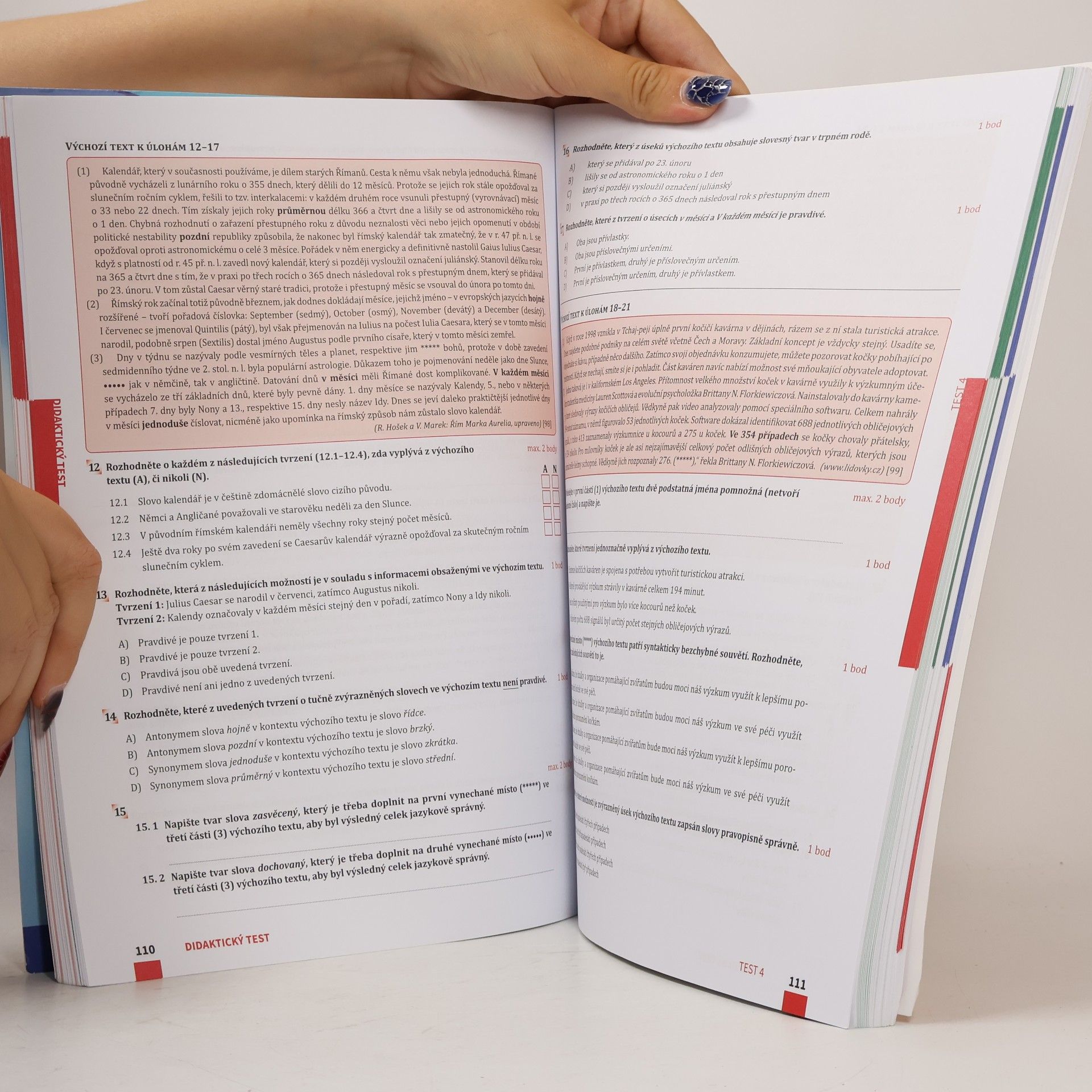 Kateřina Štrpková Maturita v pohodě. Český jazyk a literatura