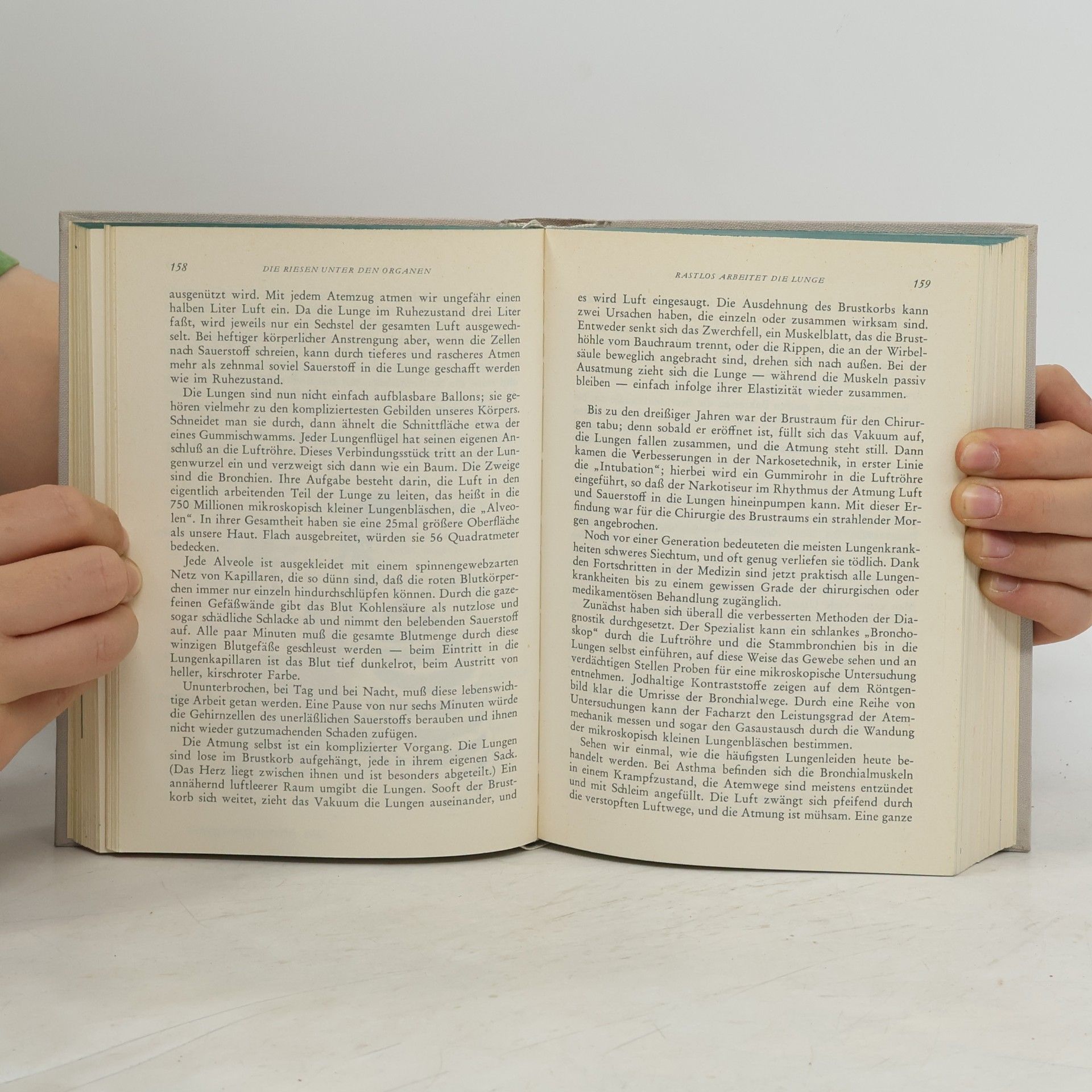 Various authors Der Menschliche Körper