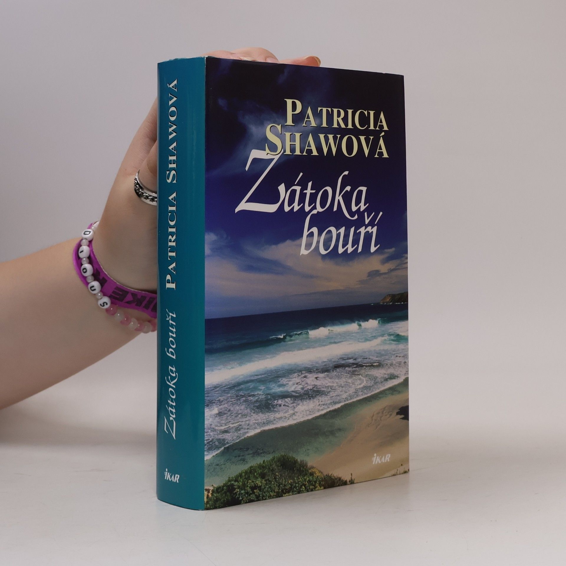 Patricia Shaw Zátoka bouří