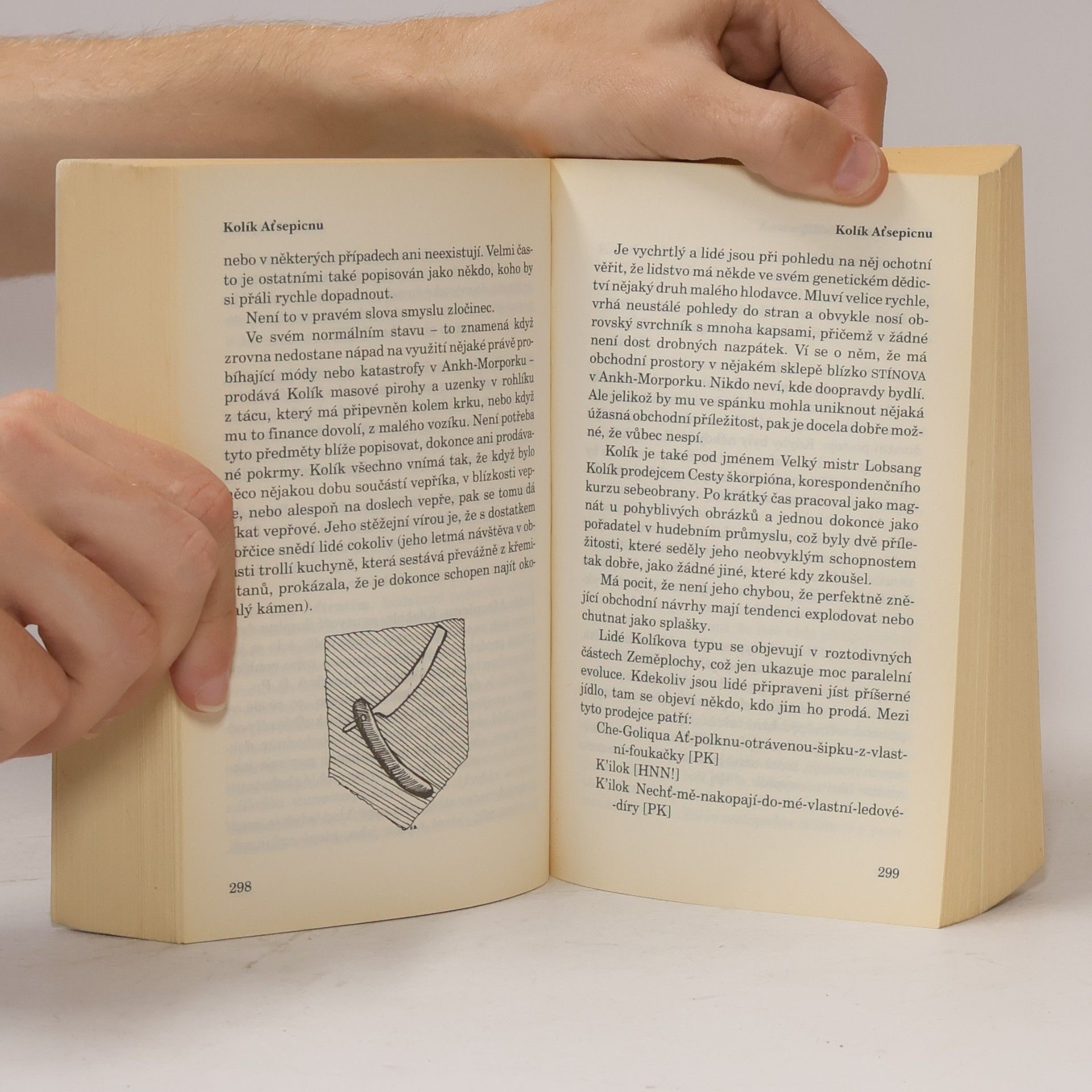 Terry Pratchett Průvodce po Zeměploše