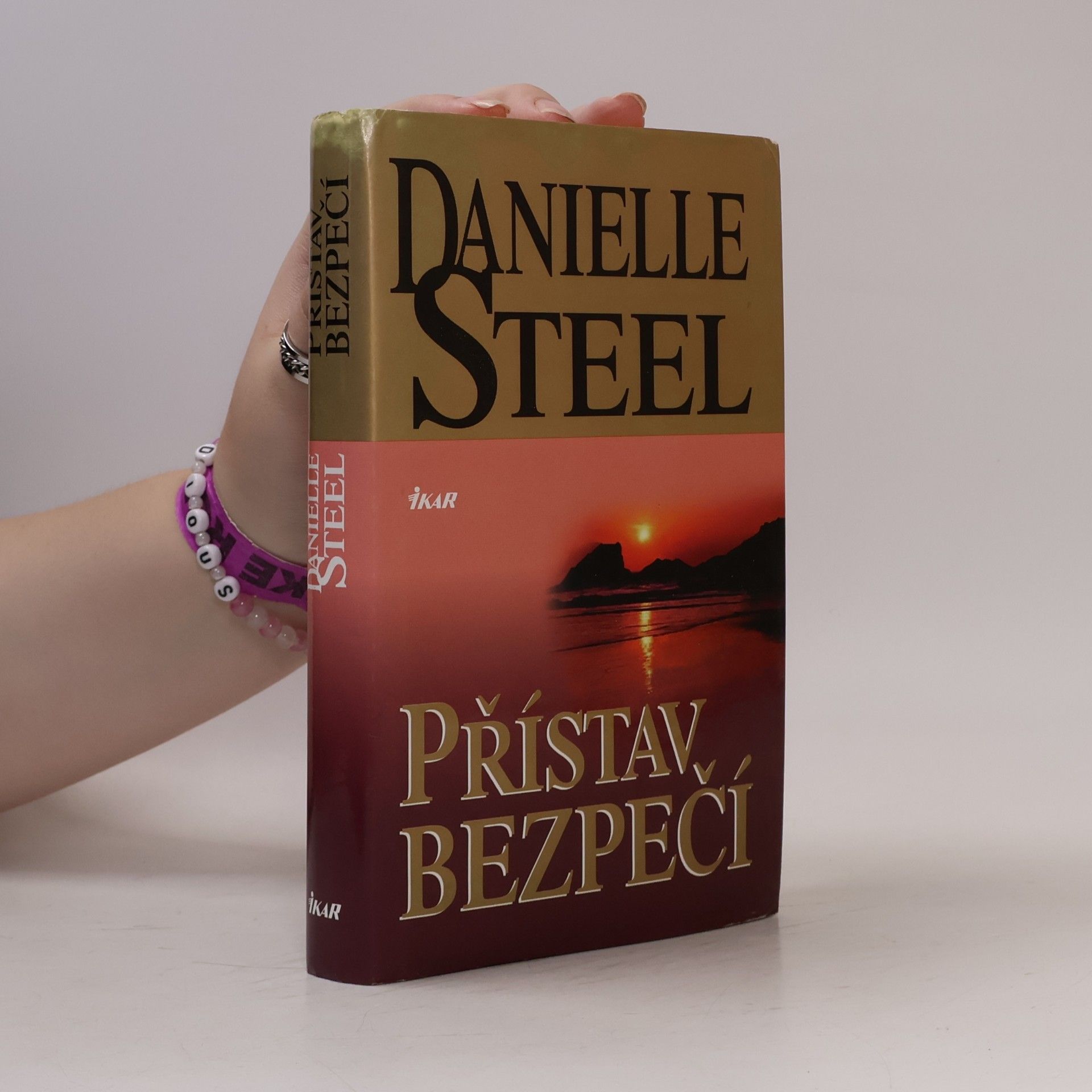Danielle Steel Přístav bezpečí