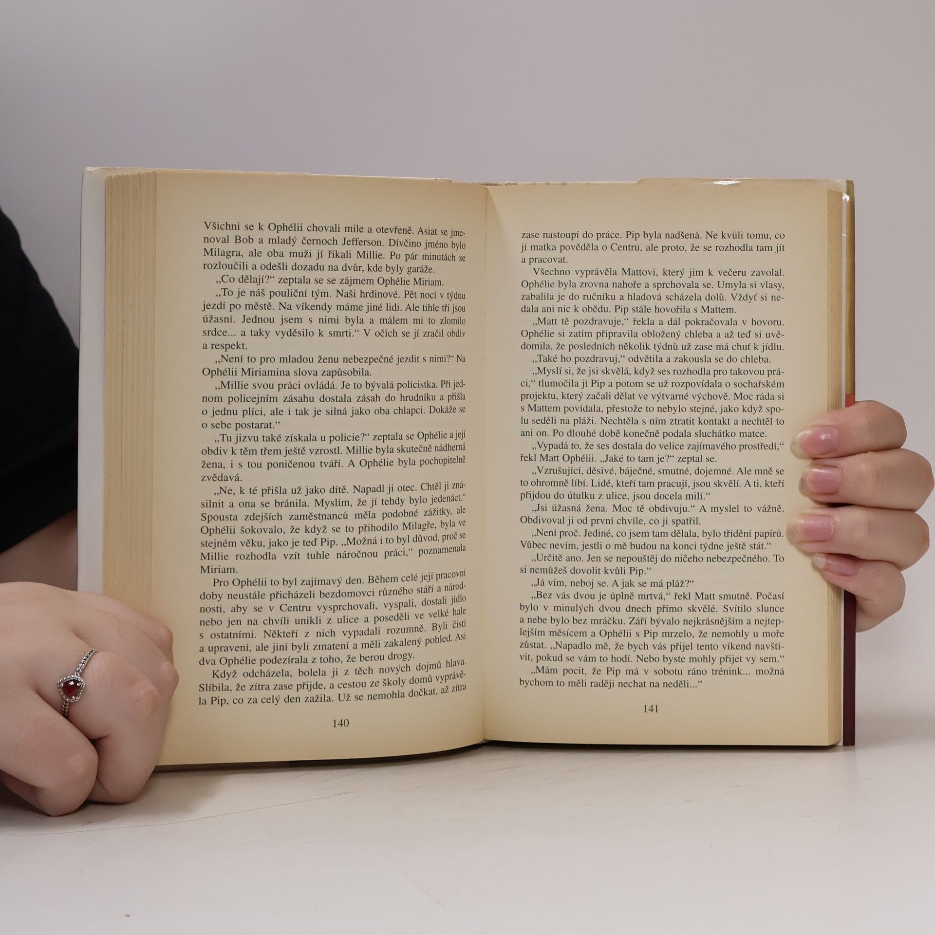 Danielle Steel Přístav bezpečí