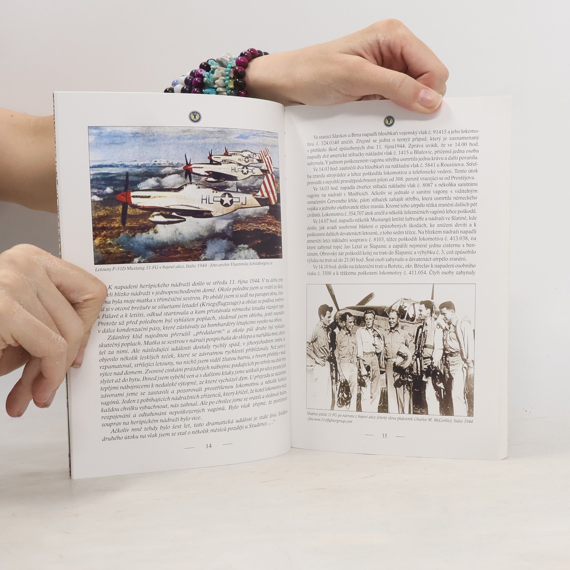 Ivo Koukola Američtí hloubkoví stíhači nad Brnem (nález trosek P-51B Mustang u Brna-Slatiny)