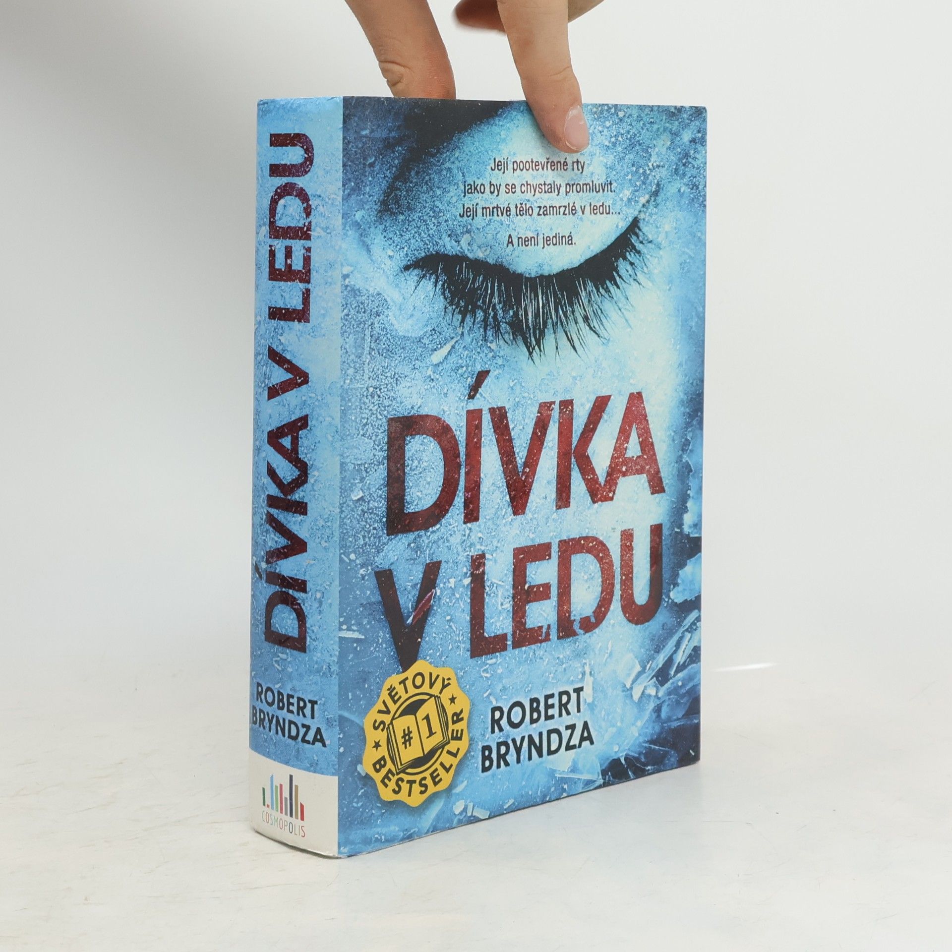 Robert Bryndza Dívka v ledu