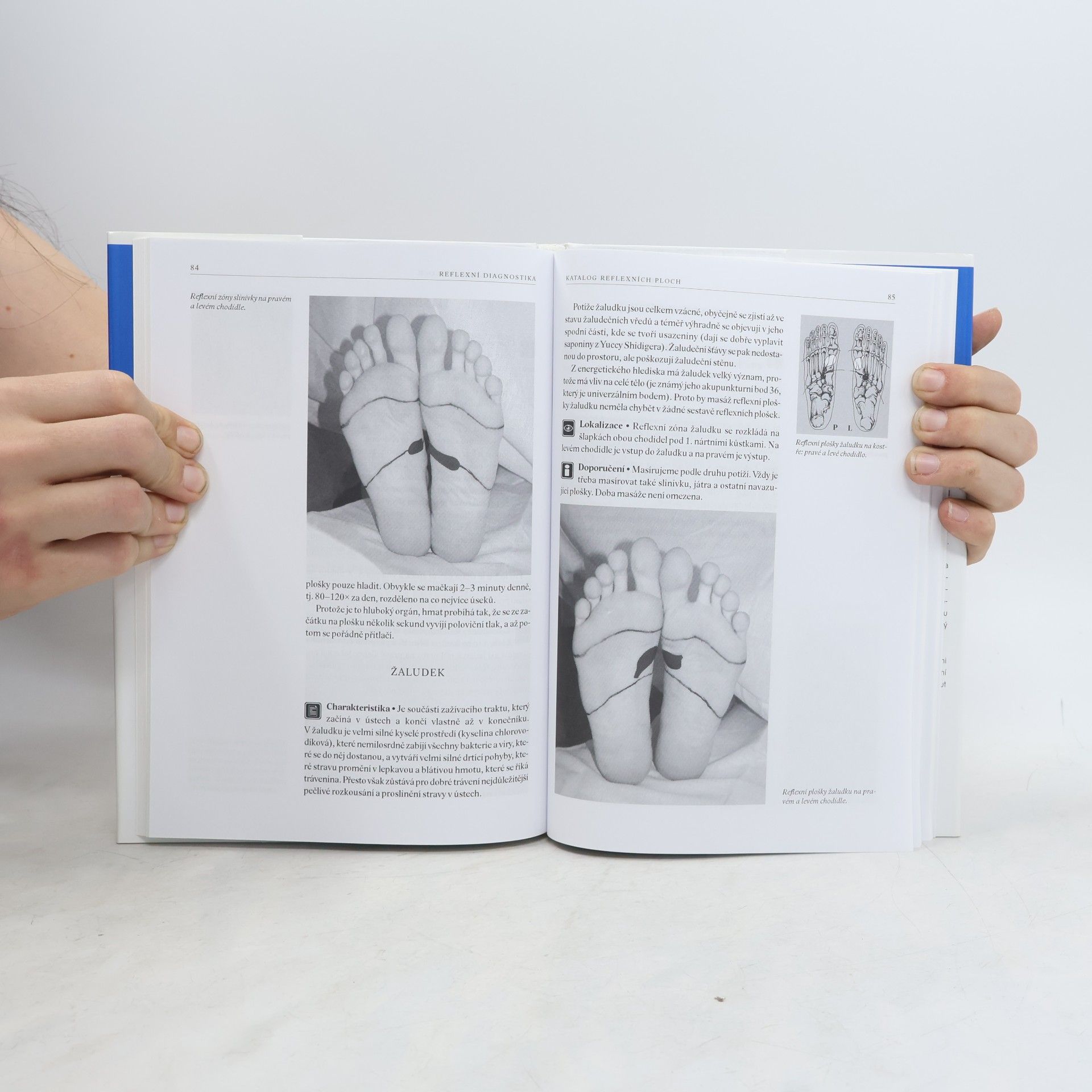 Beáta Patakyová Reflexní diagnostika a katalog reflexních ploch